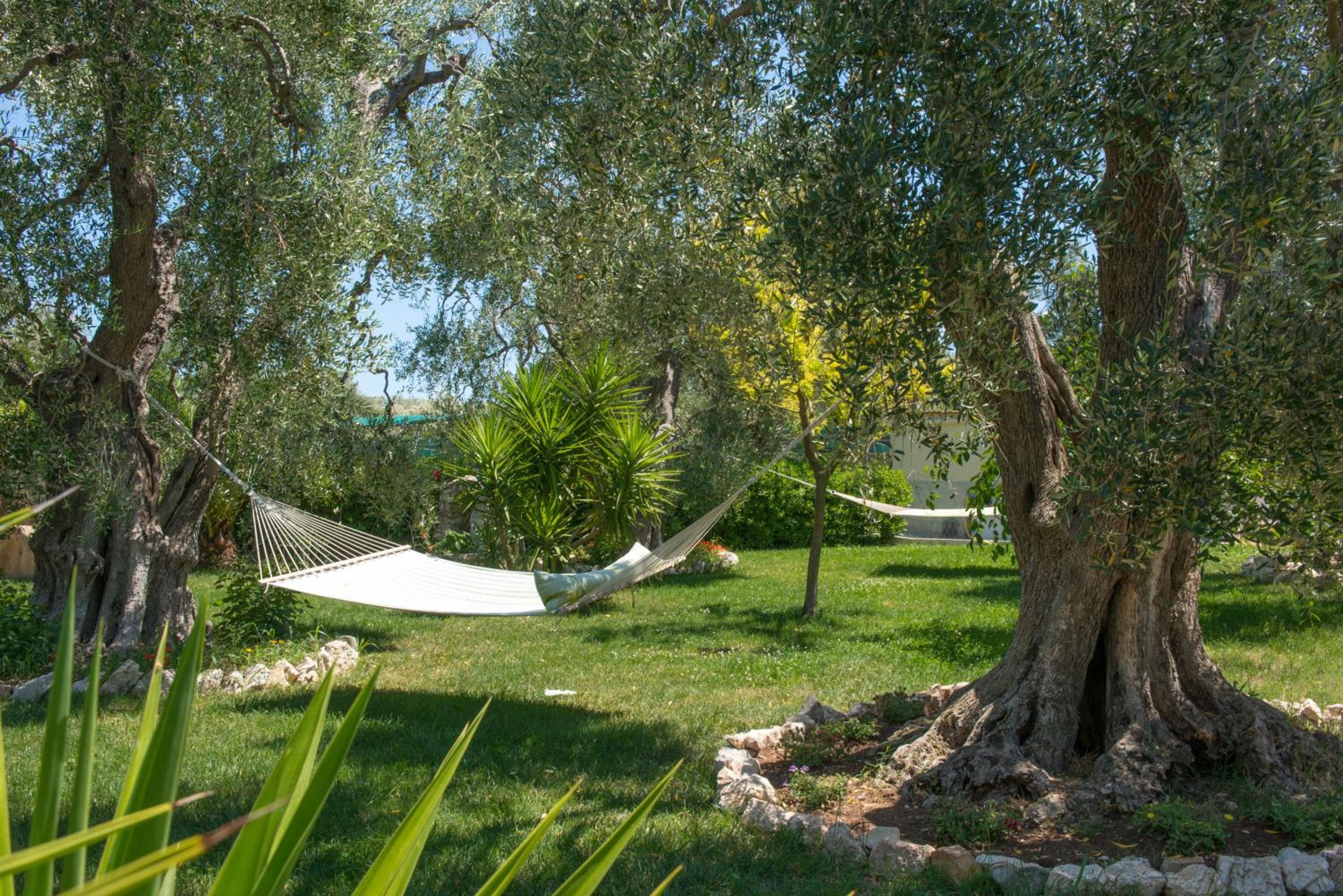 Villa Fenice Bed & Breakfast, photo 26