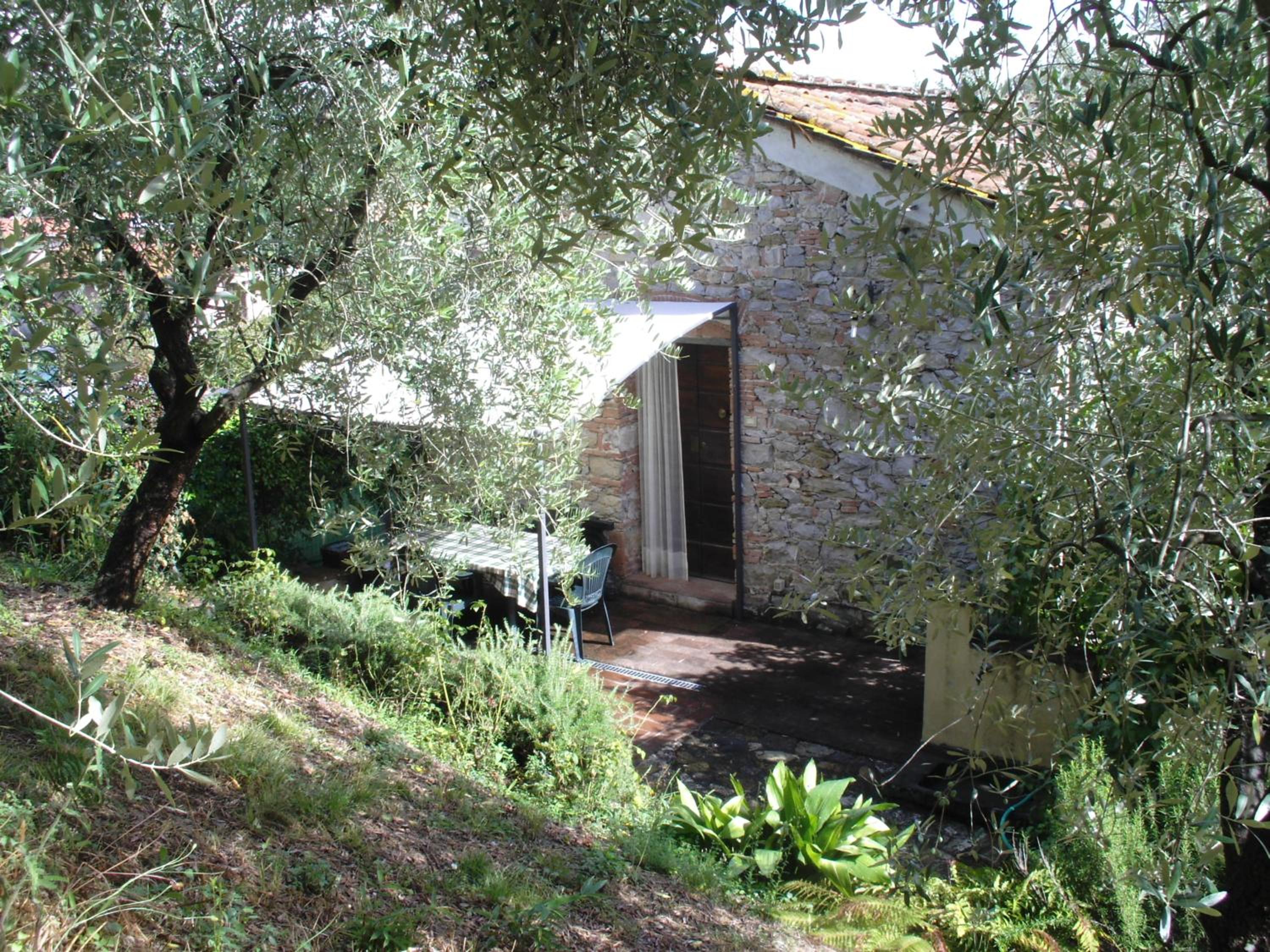 Photo 17