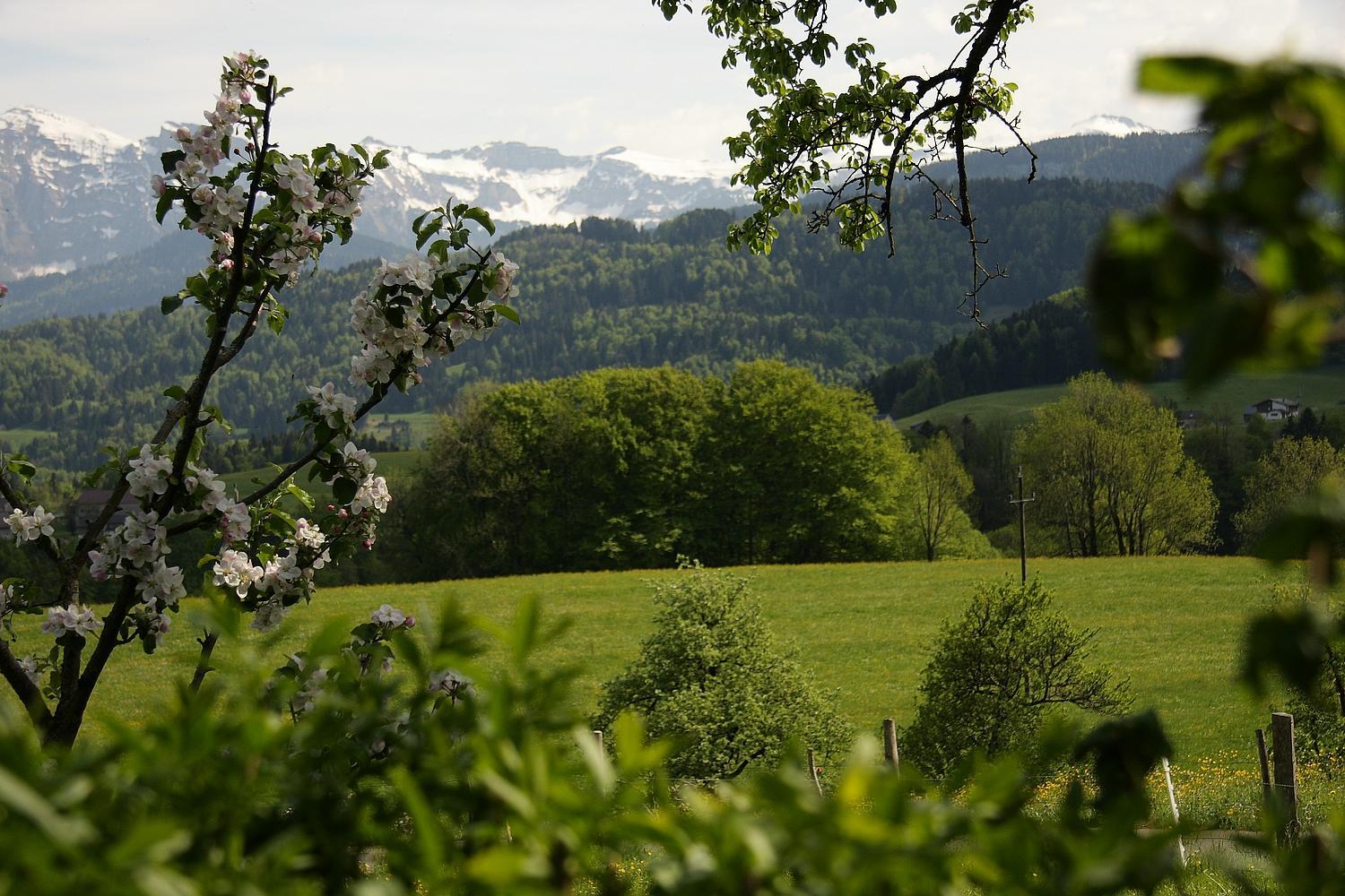 Ferienhof Metzler