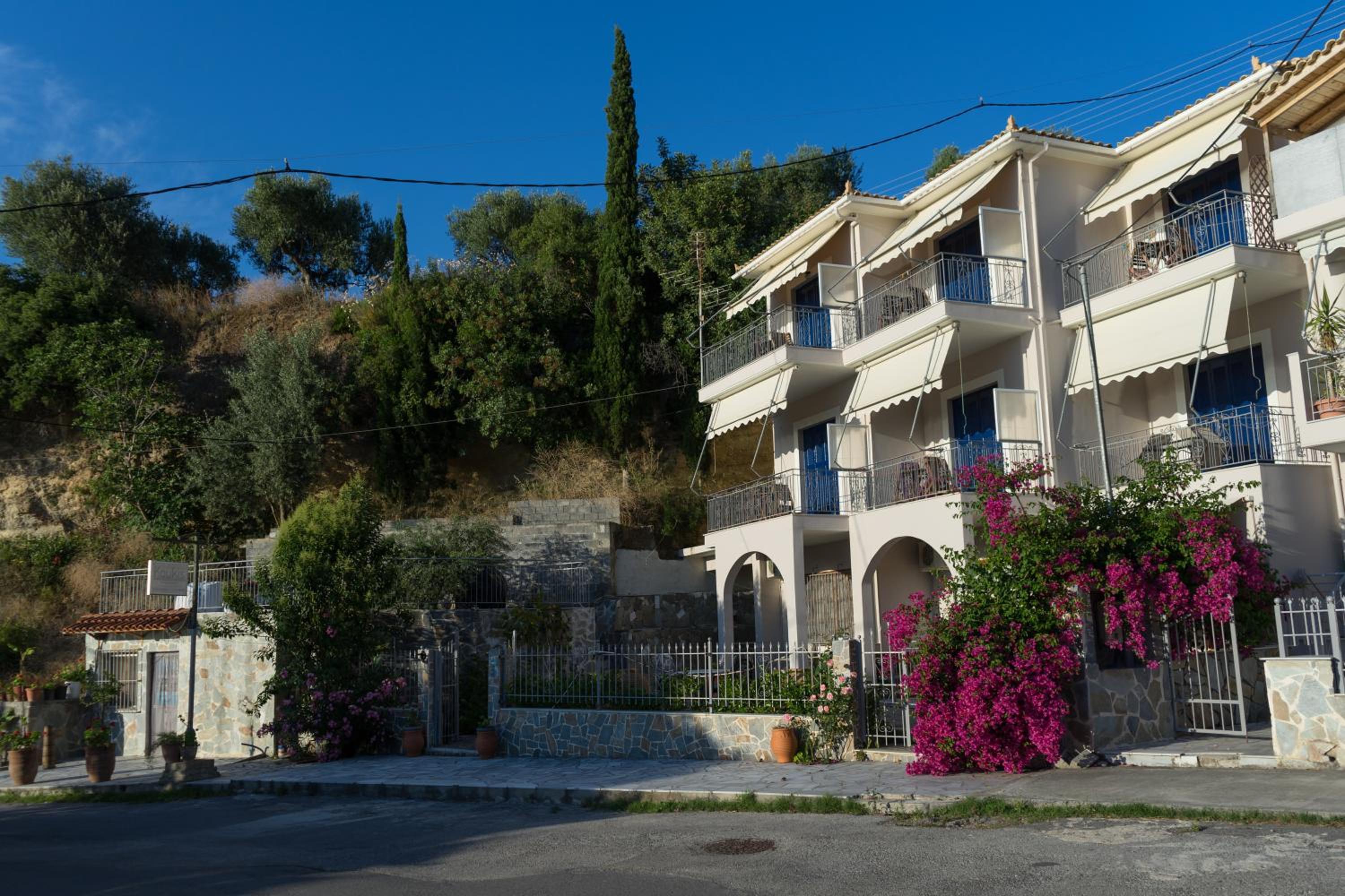 Photo 15