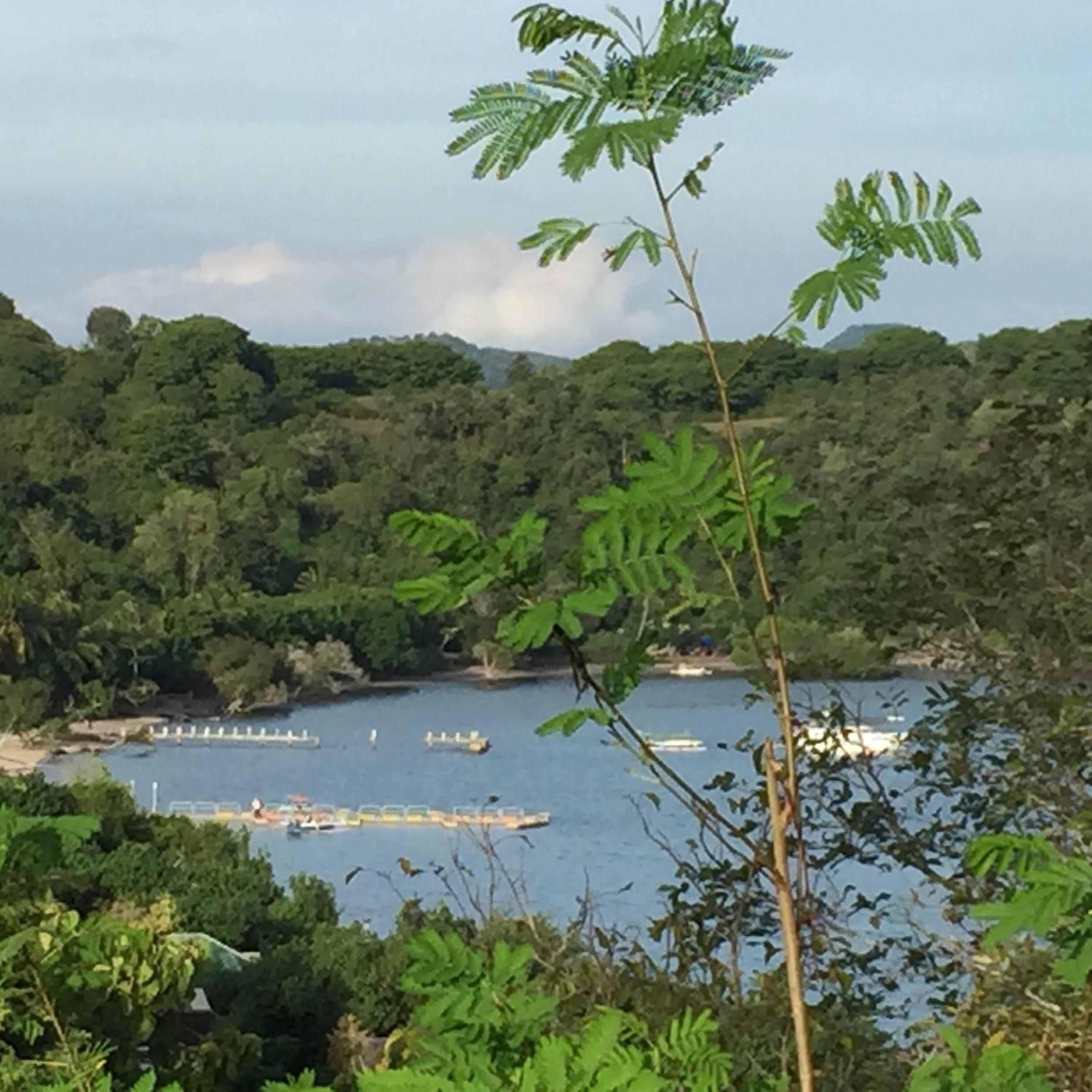 The Papalagi Resort