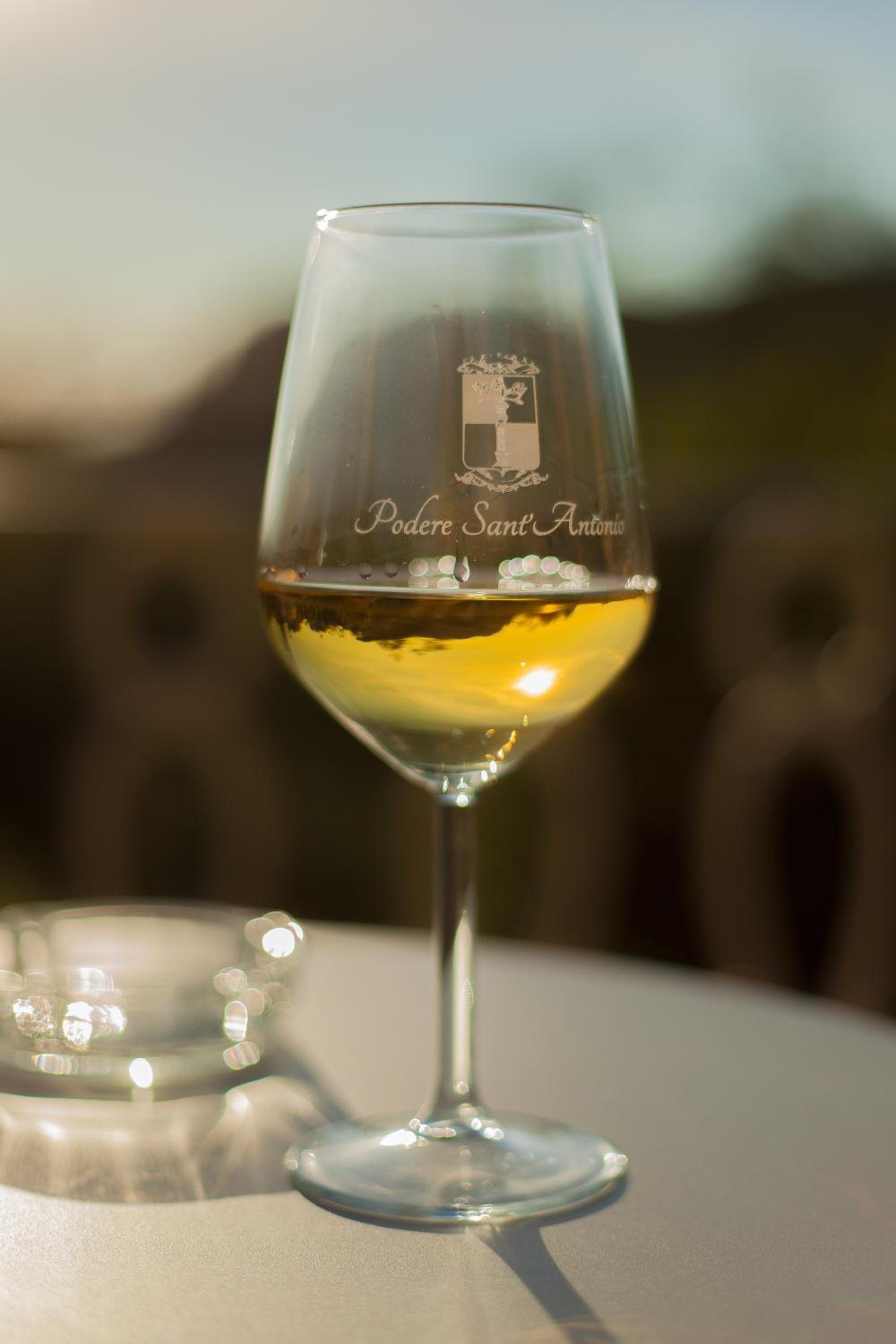 Podere Sant'Antonio