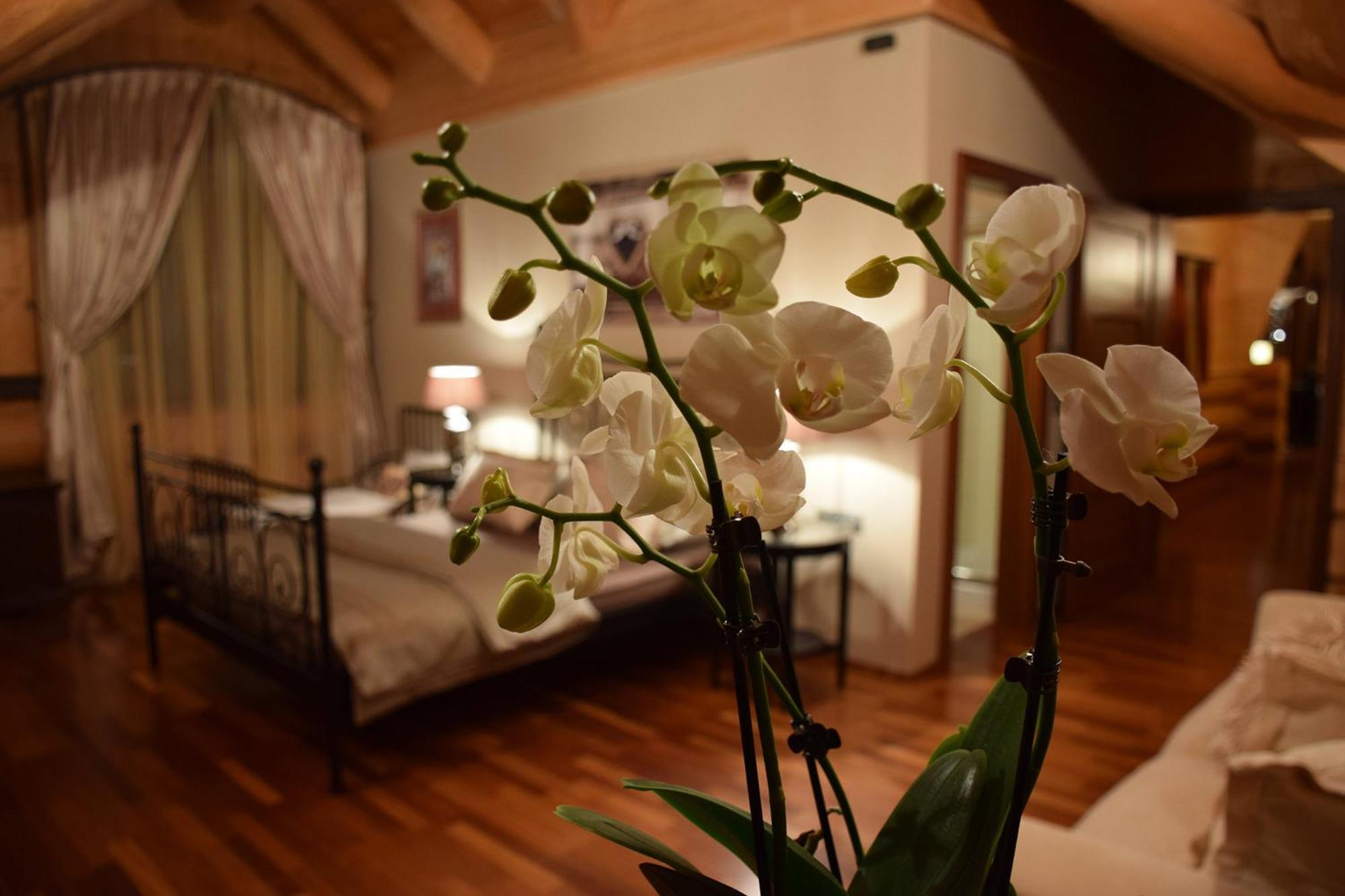 Chalet Caprea