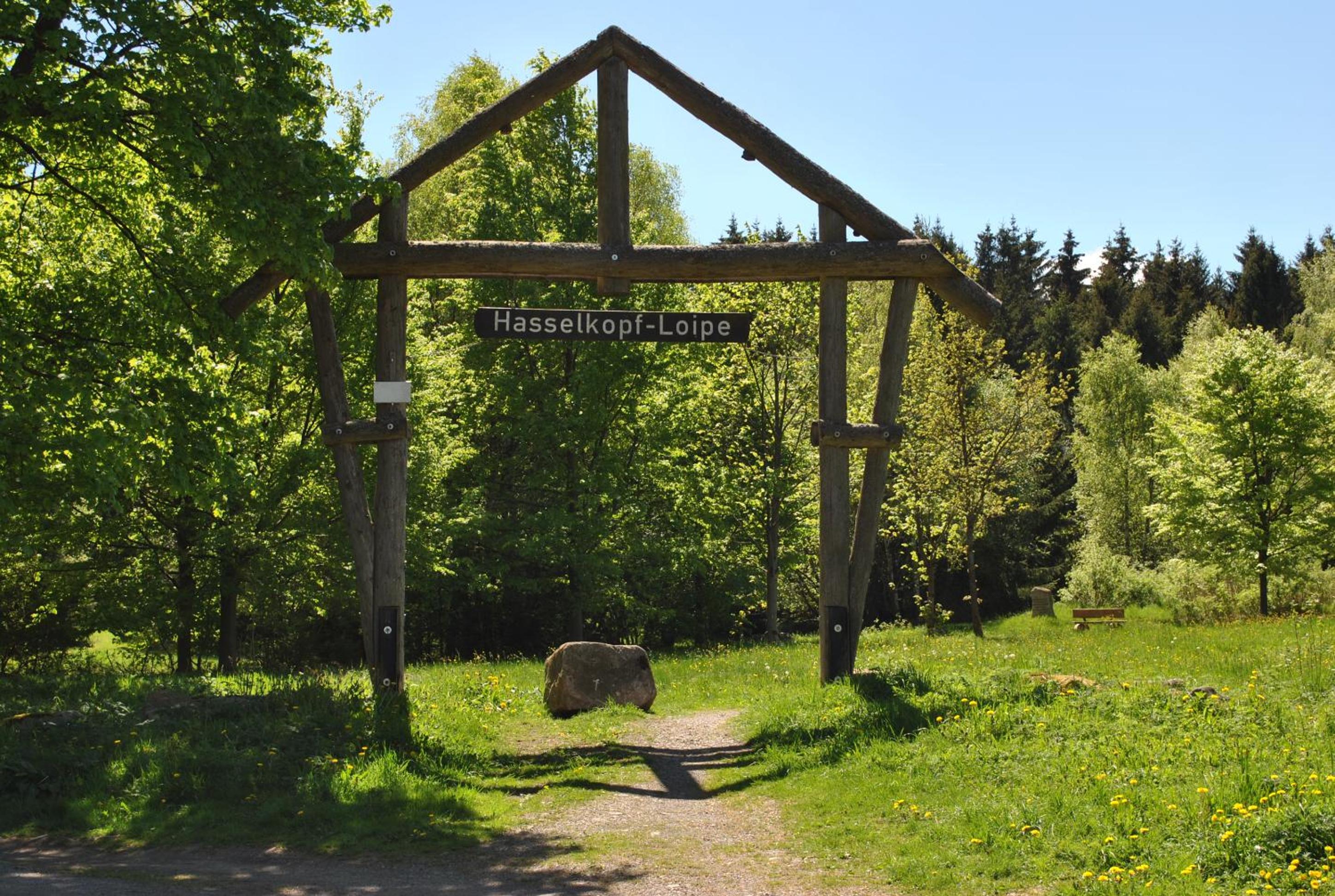 Harz-Rose