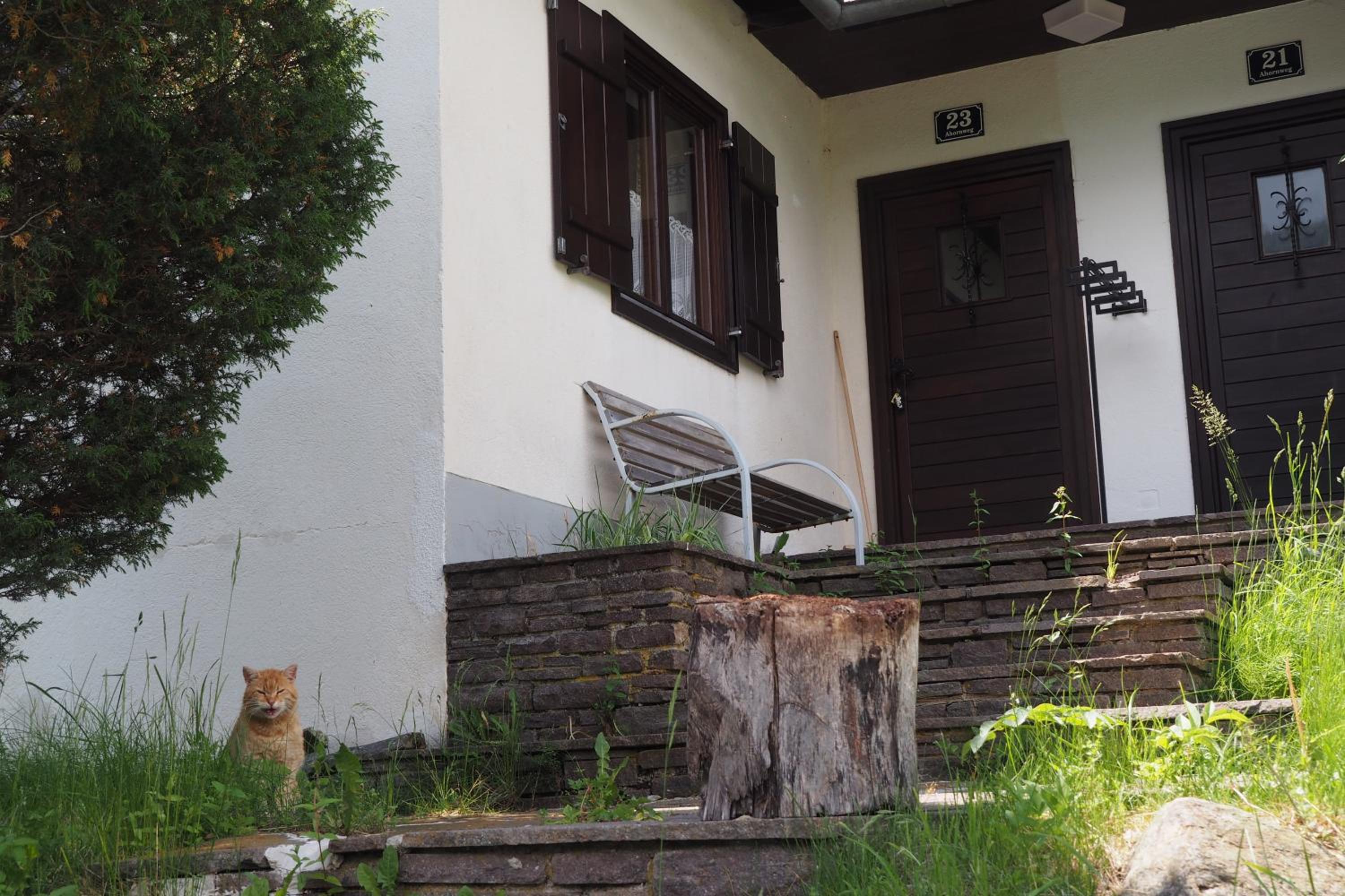 Ferienhaus Ahornweg