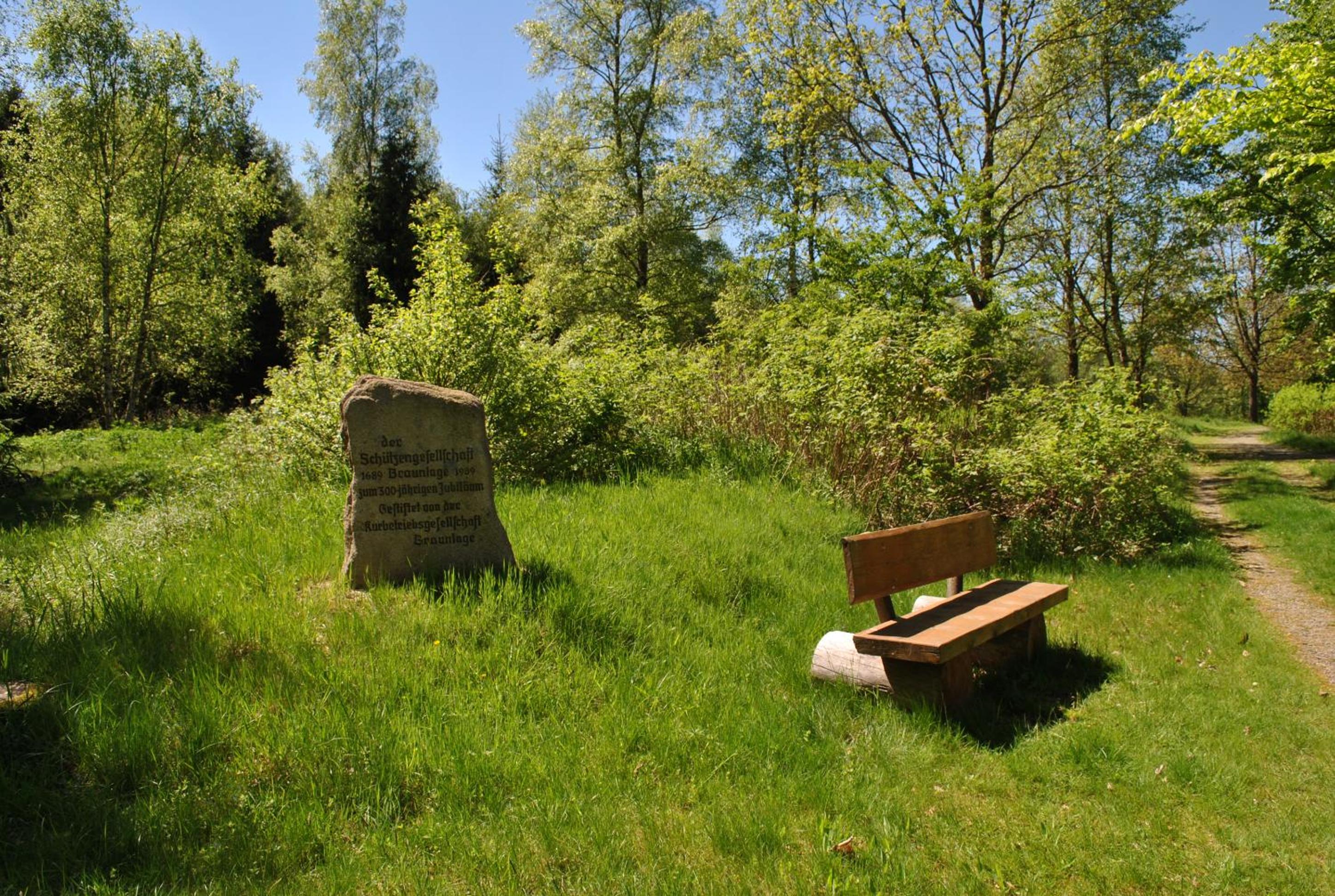 Harz-Rose