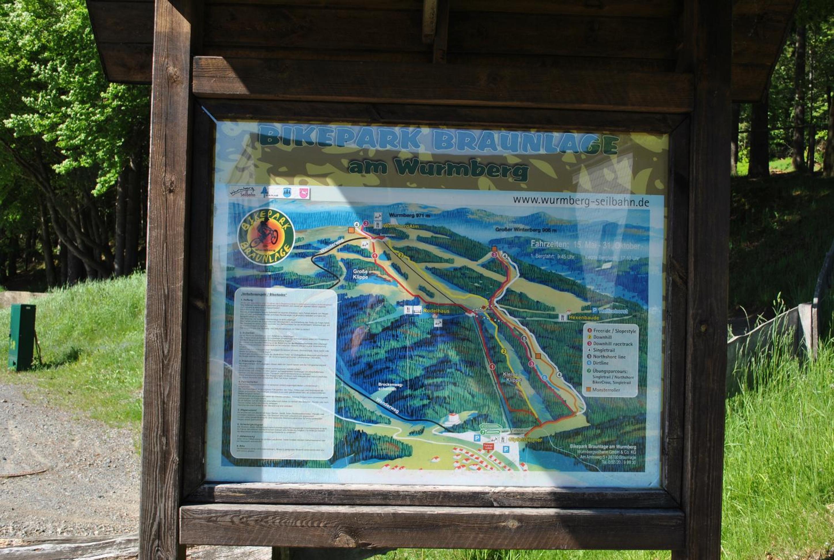Harz-Rose