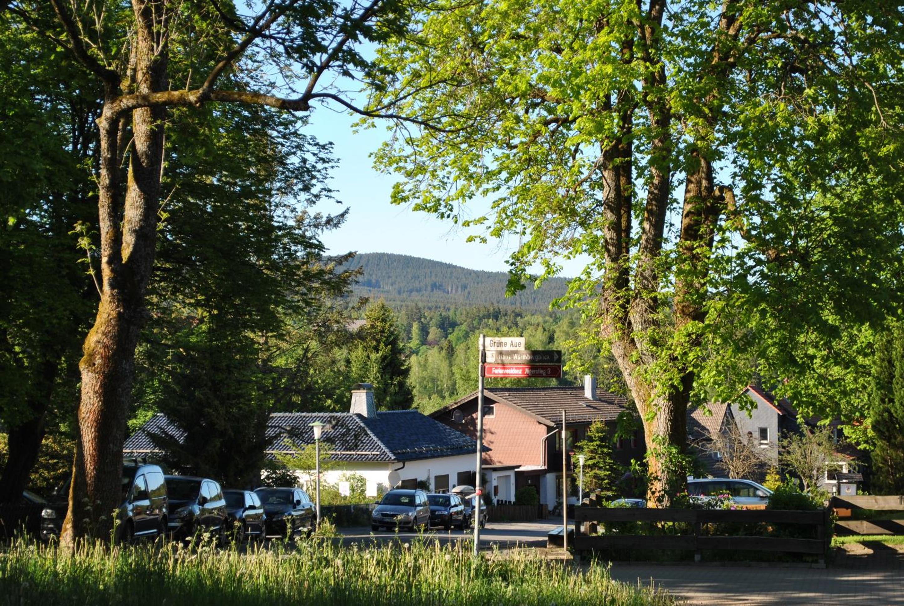 Harz-Rose