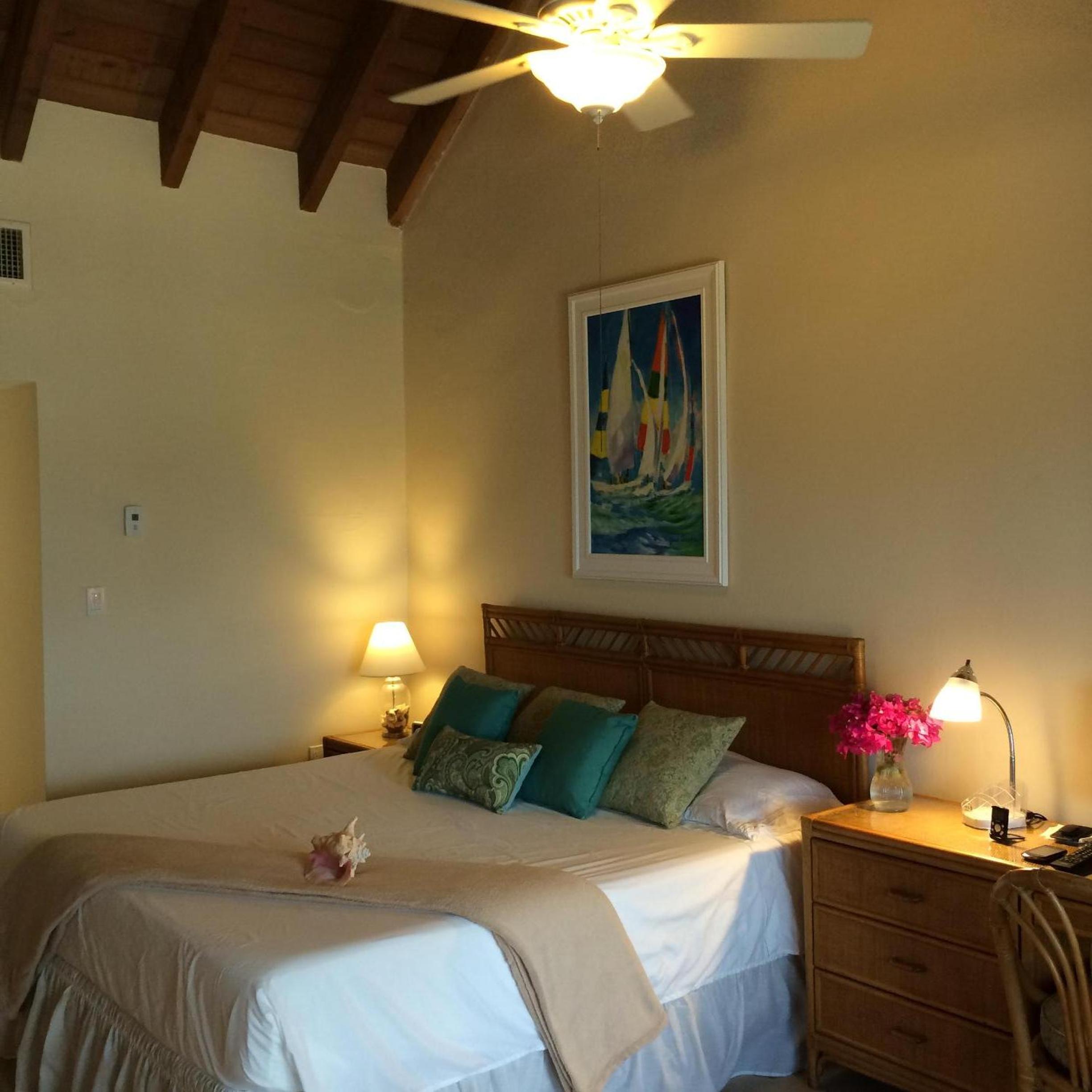 Luxury Beachfront Duplex Villa on Sapphire Beach V view 4