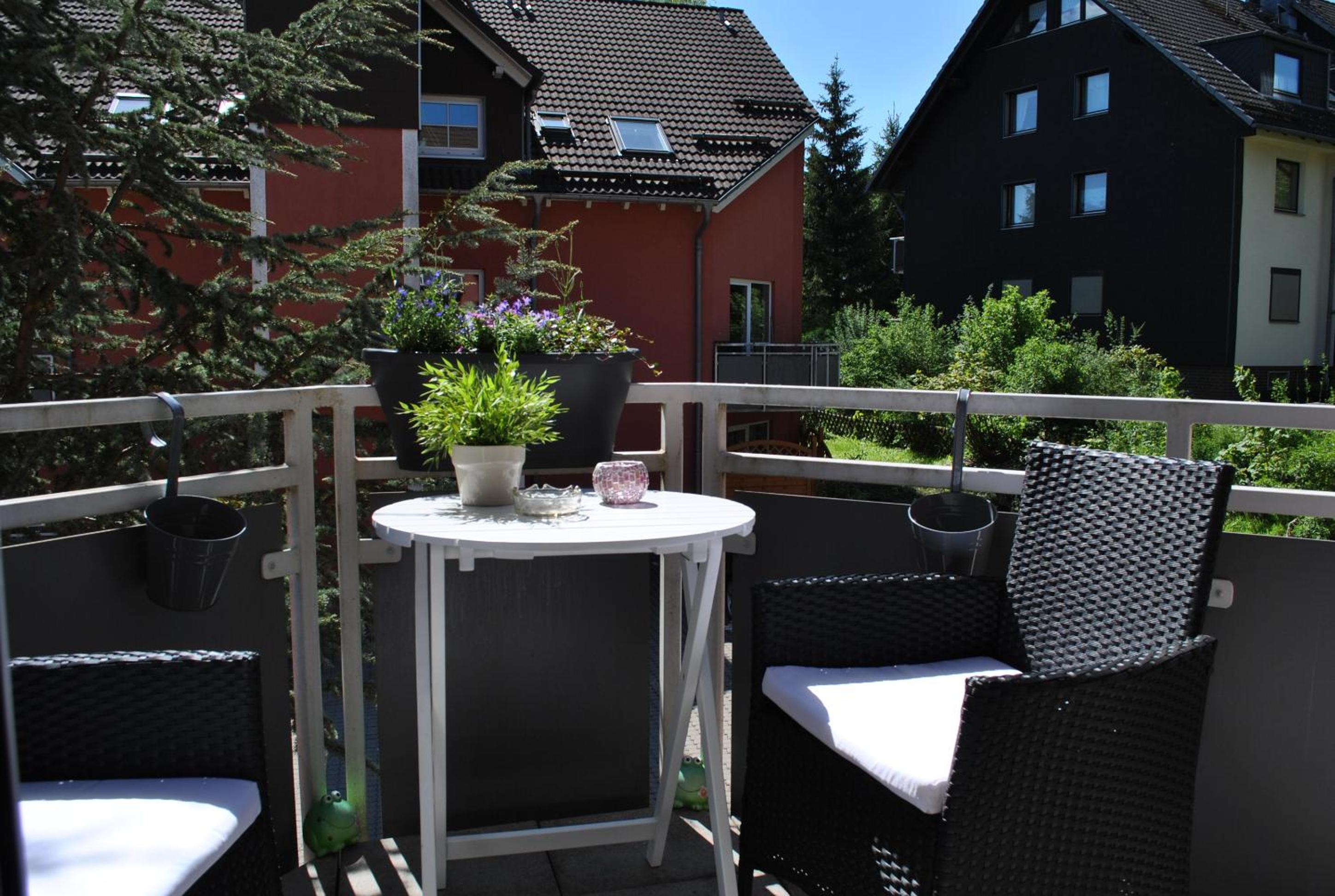 Harz-Rose