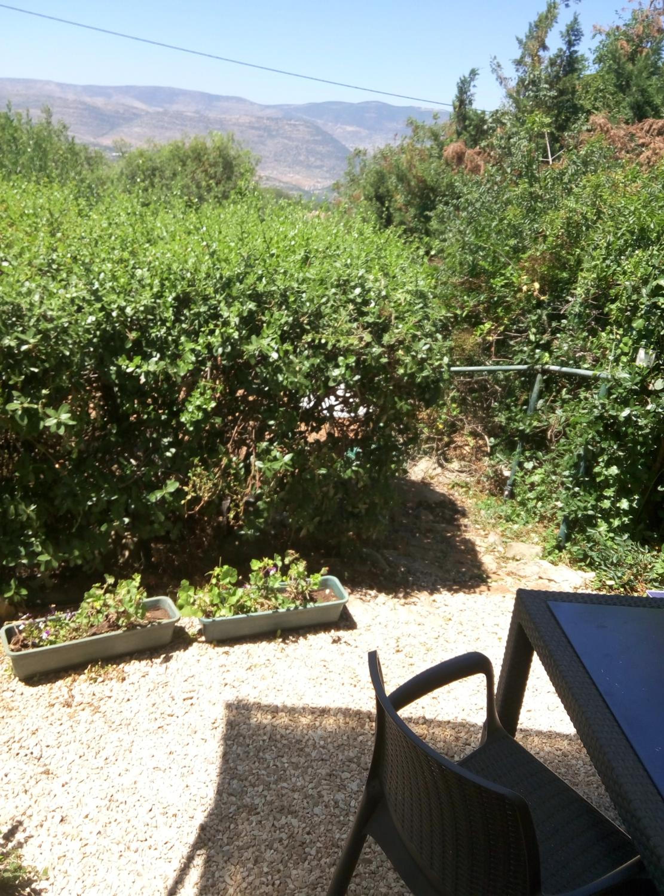 Photo 13