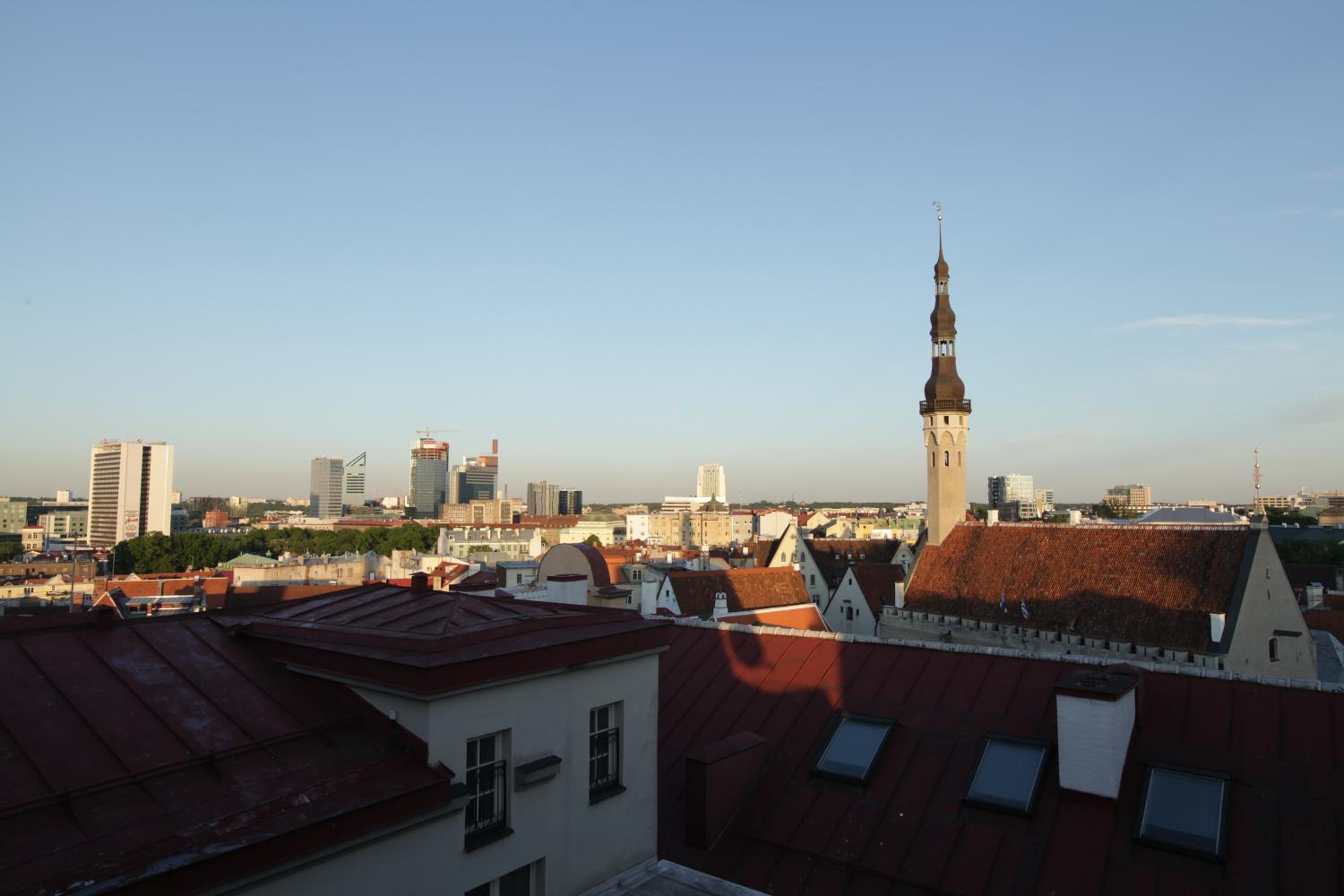 Photo 41