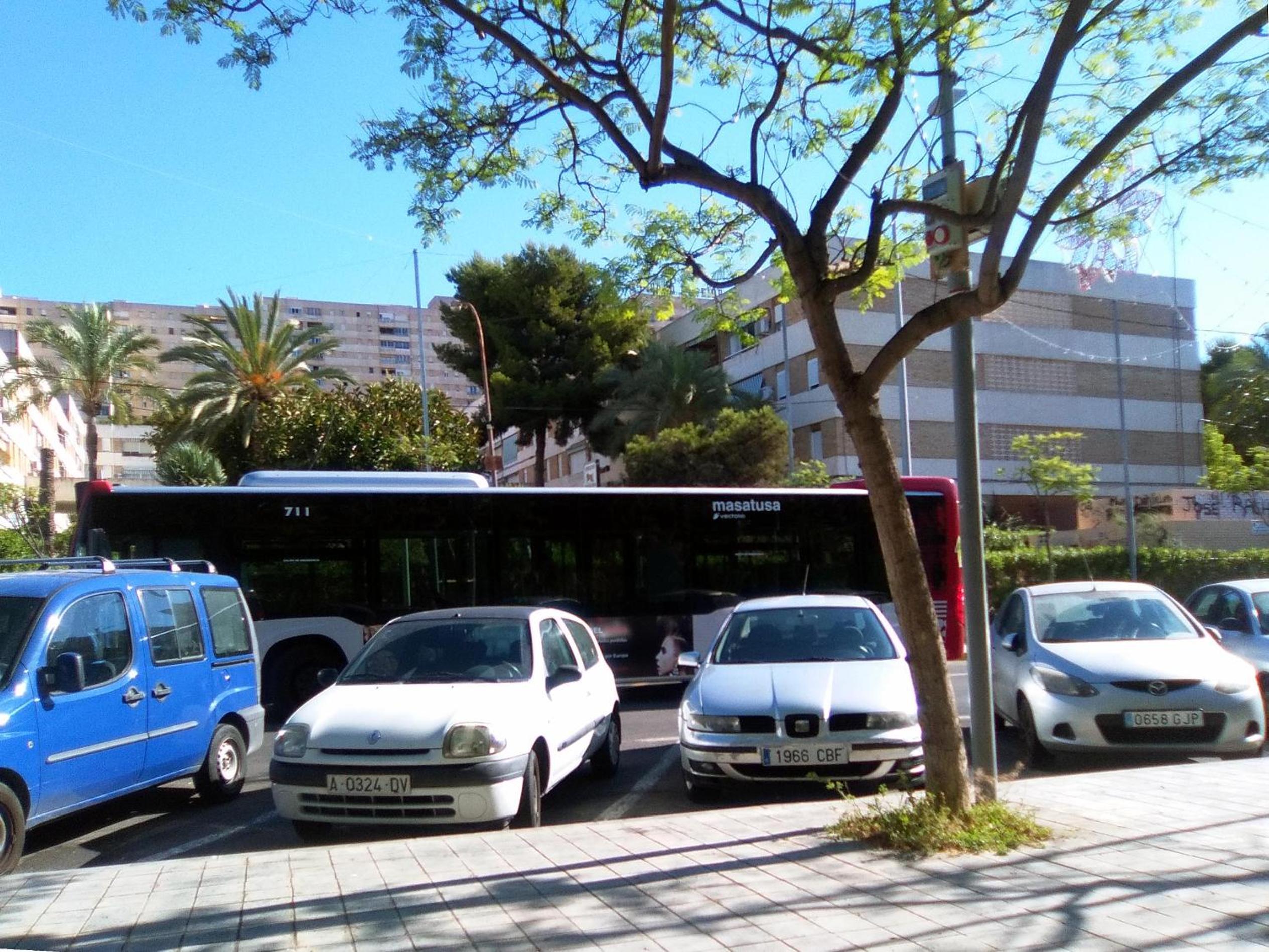 Photo 25