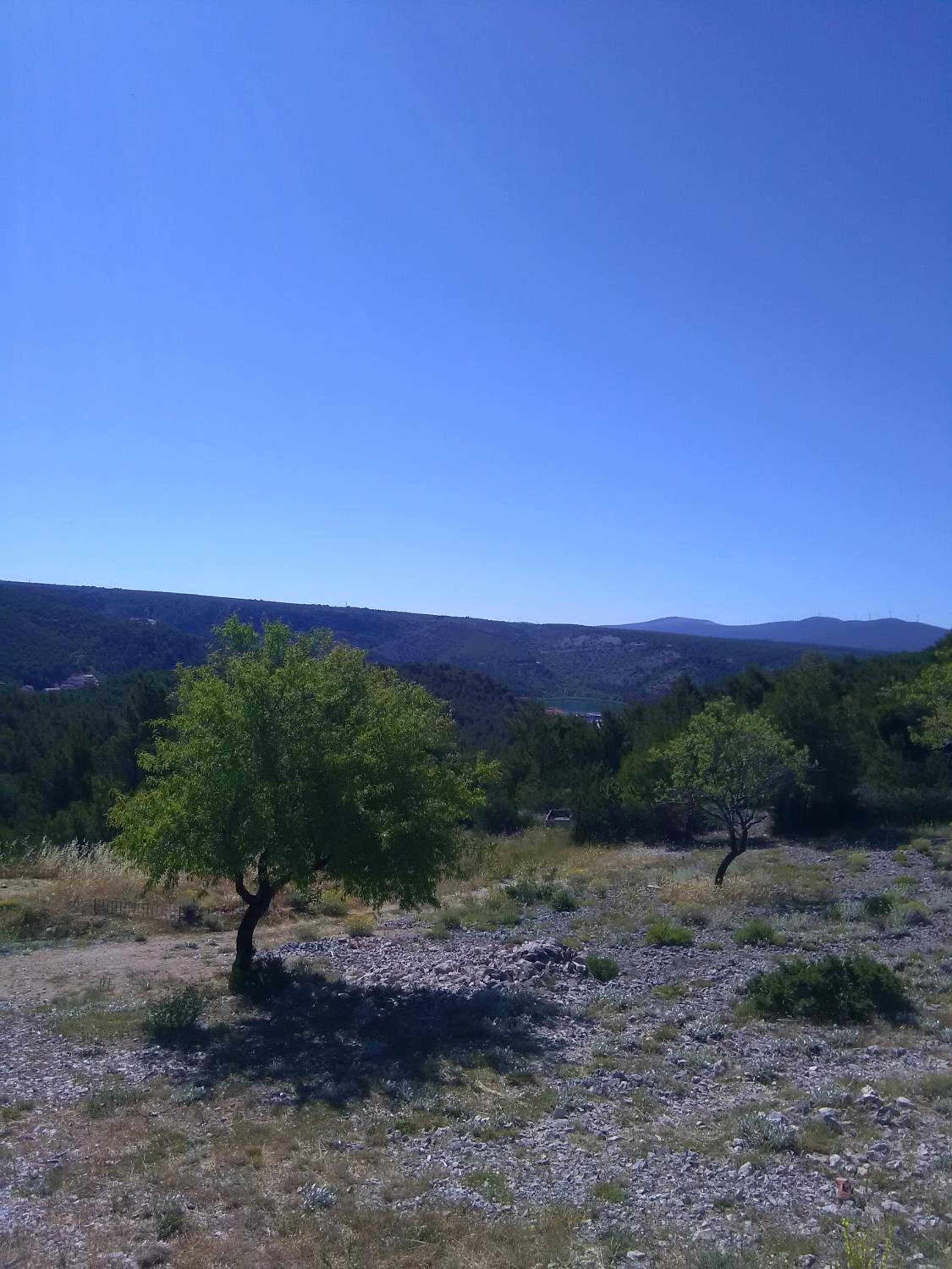 Photo 51