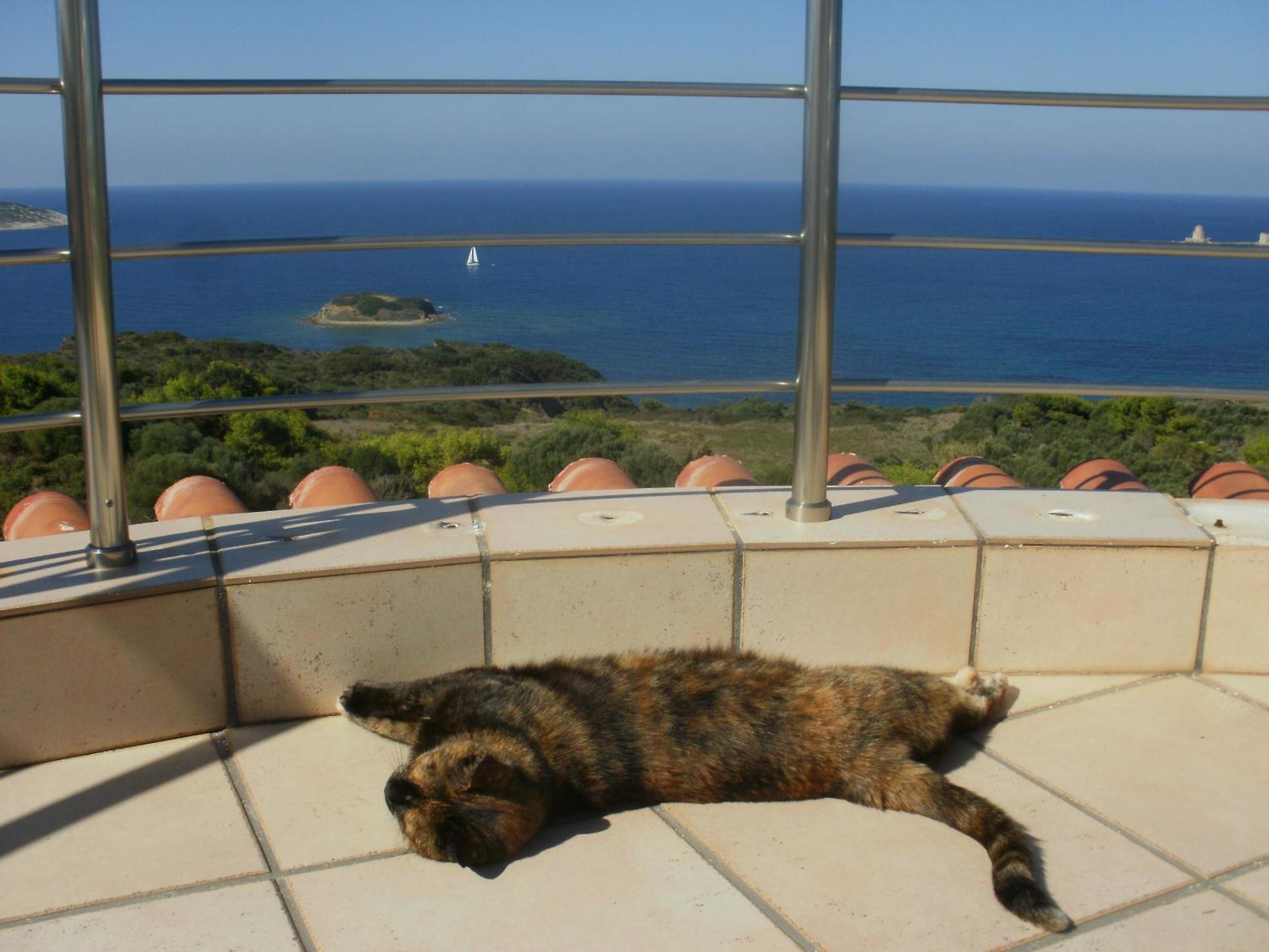 Charly Point Villa photo 4