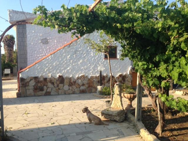 Photo 28