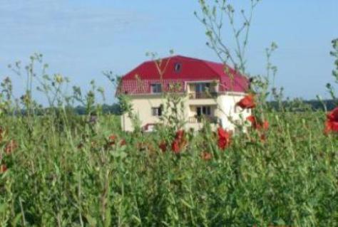 Pensiunea Snagov Lac view 3