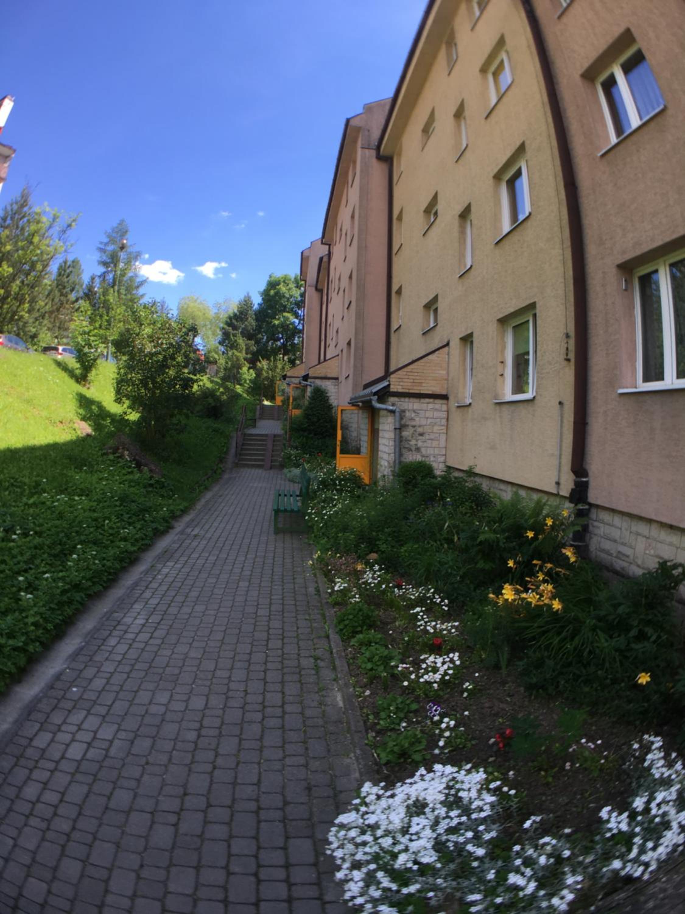 Studio z widokiem na Palenice view 2