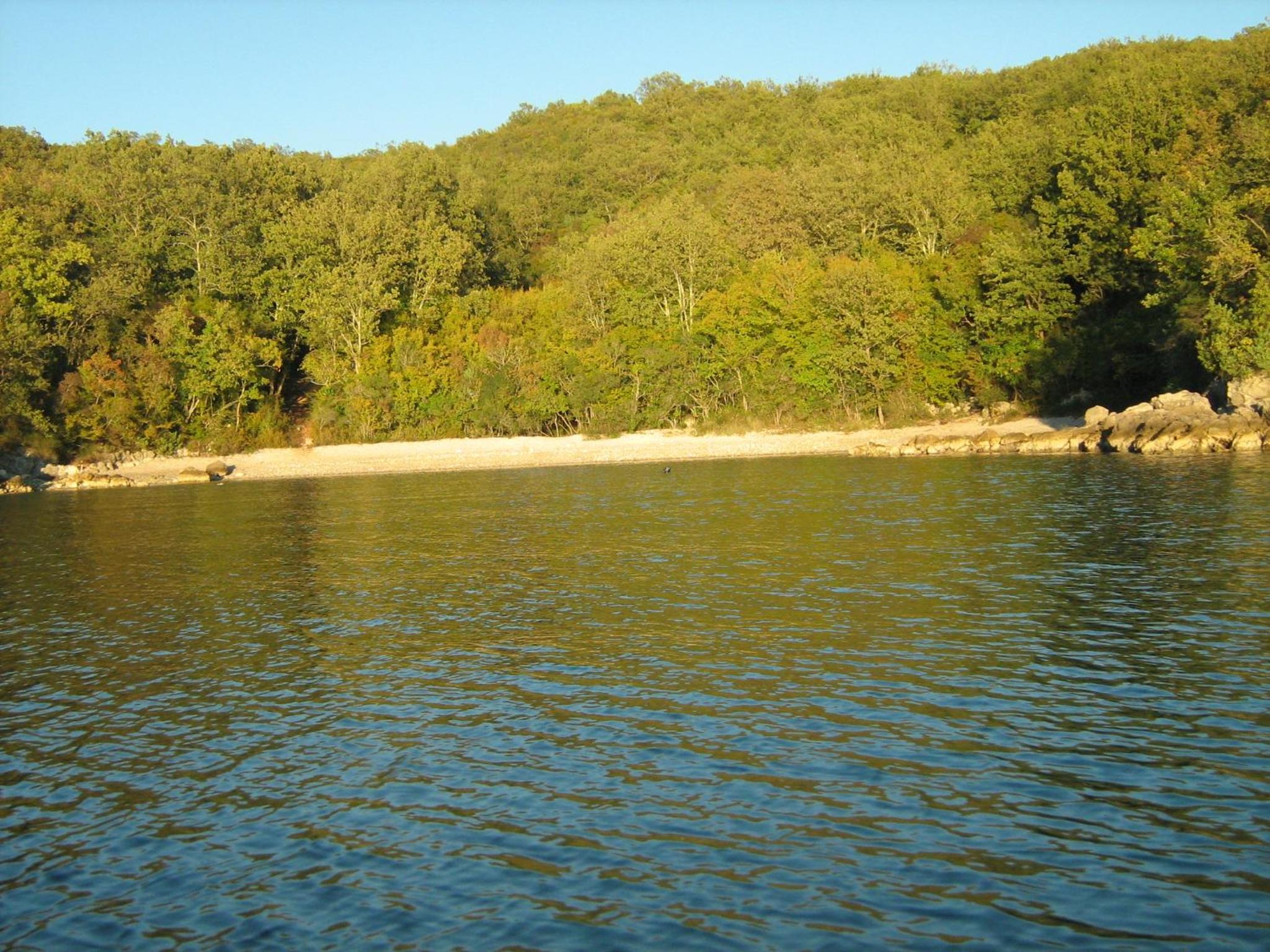 Photo 47