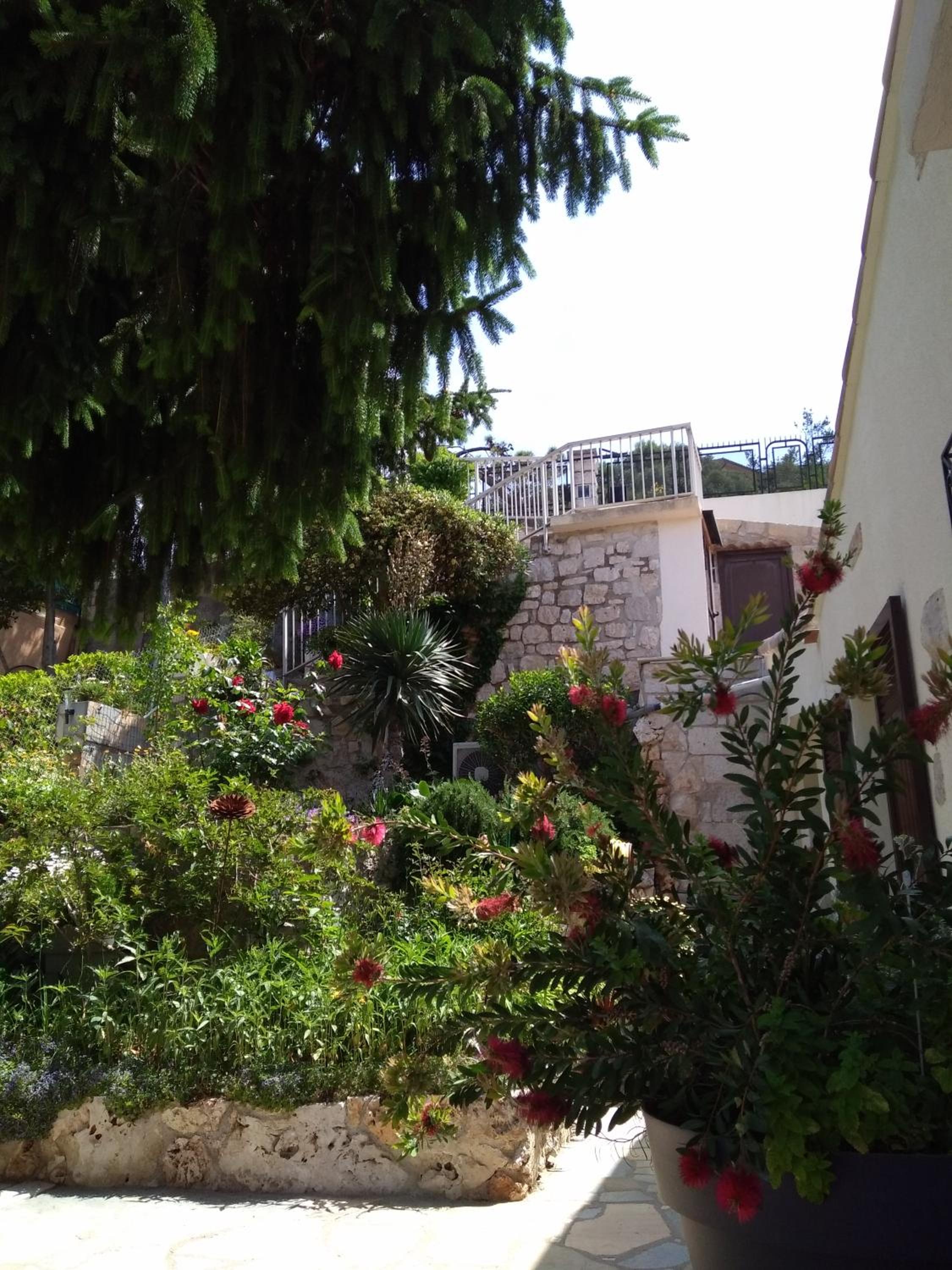 Photo 25