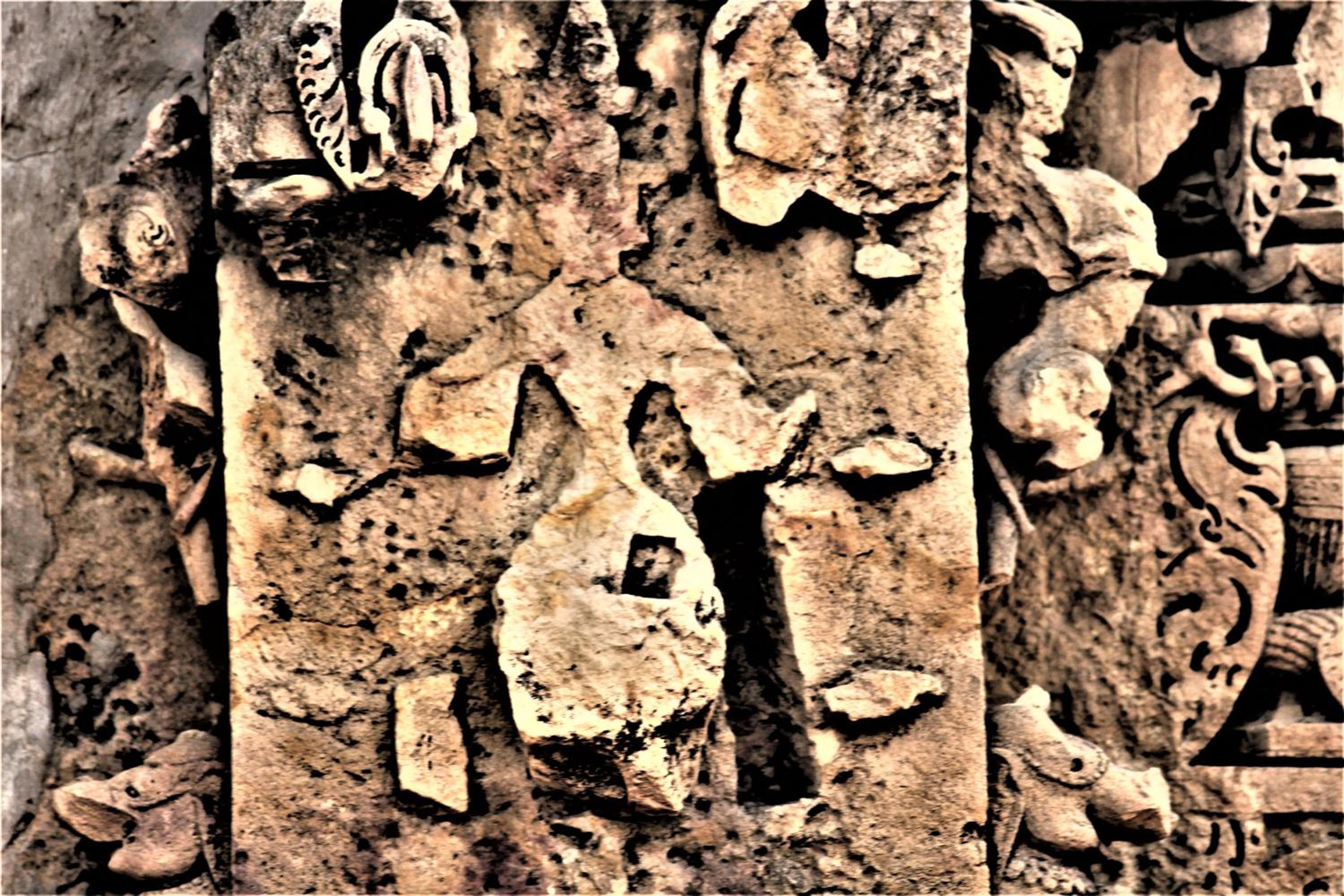 Photo 19