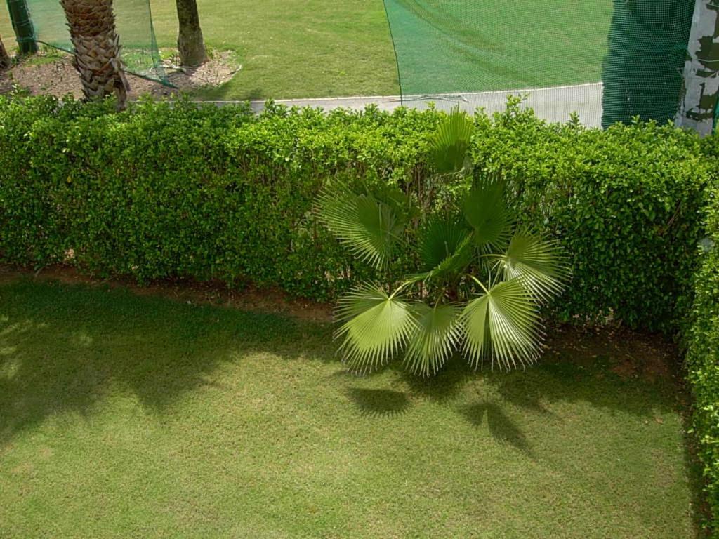 Photo 56