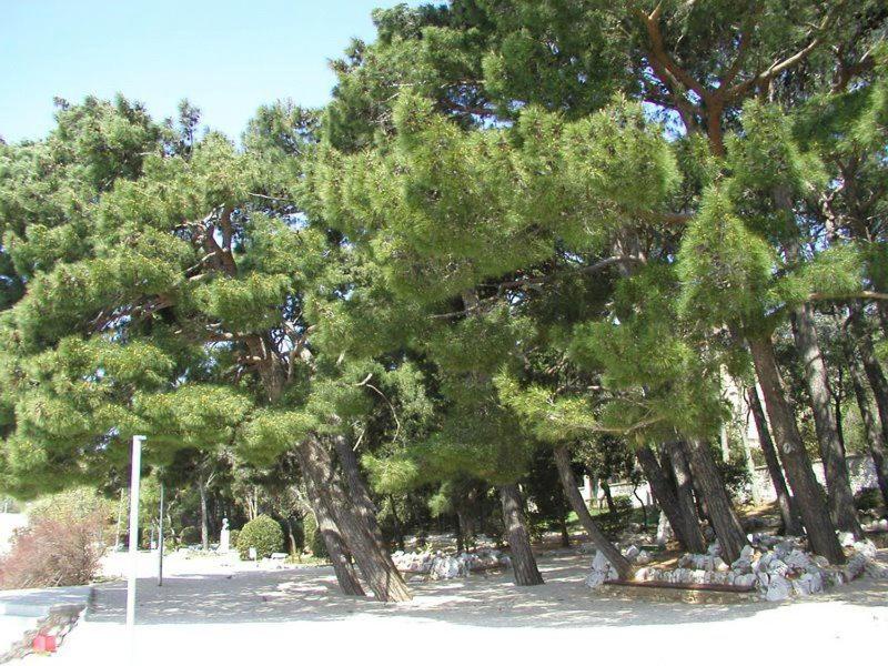 Photo 40