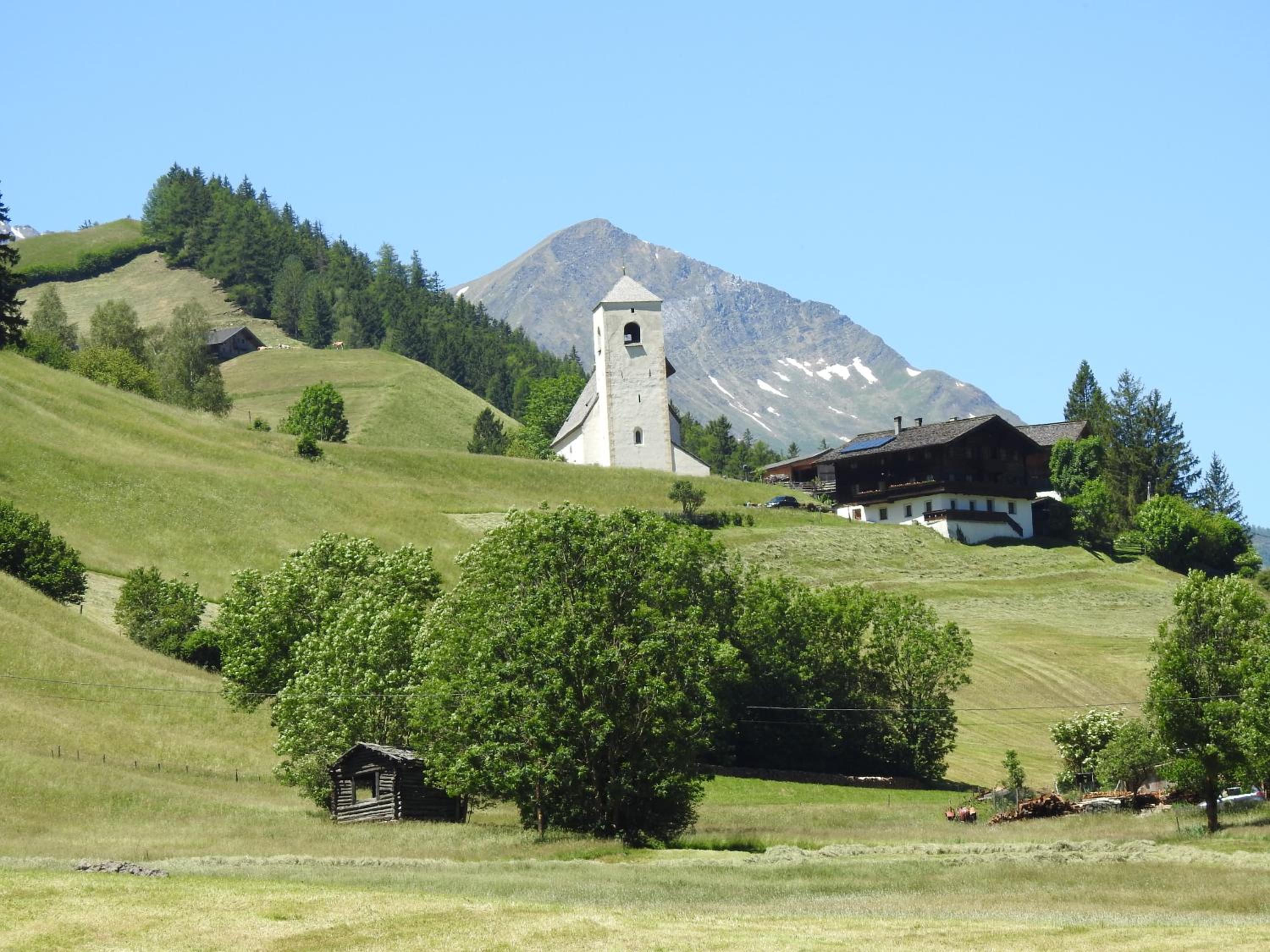 Pongitzerhof