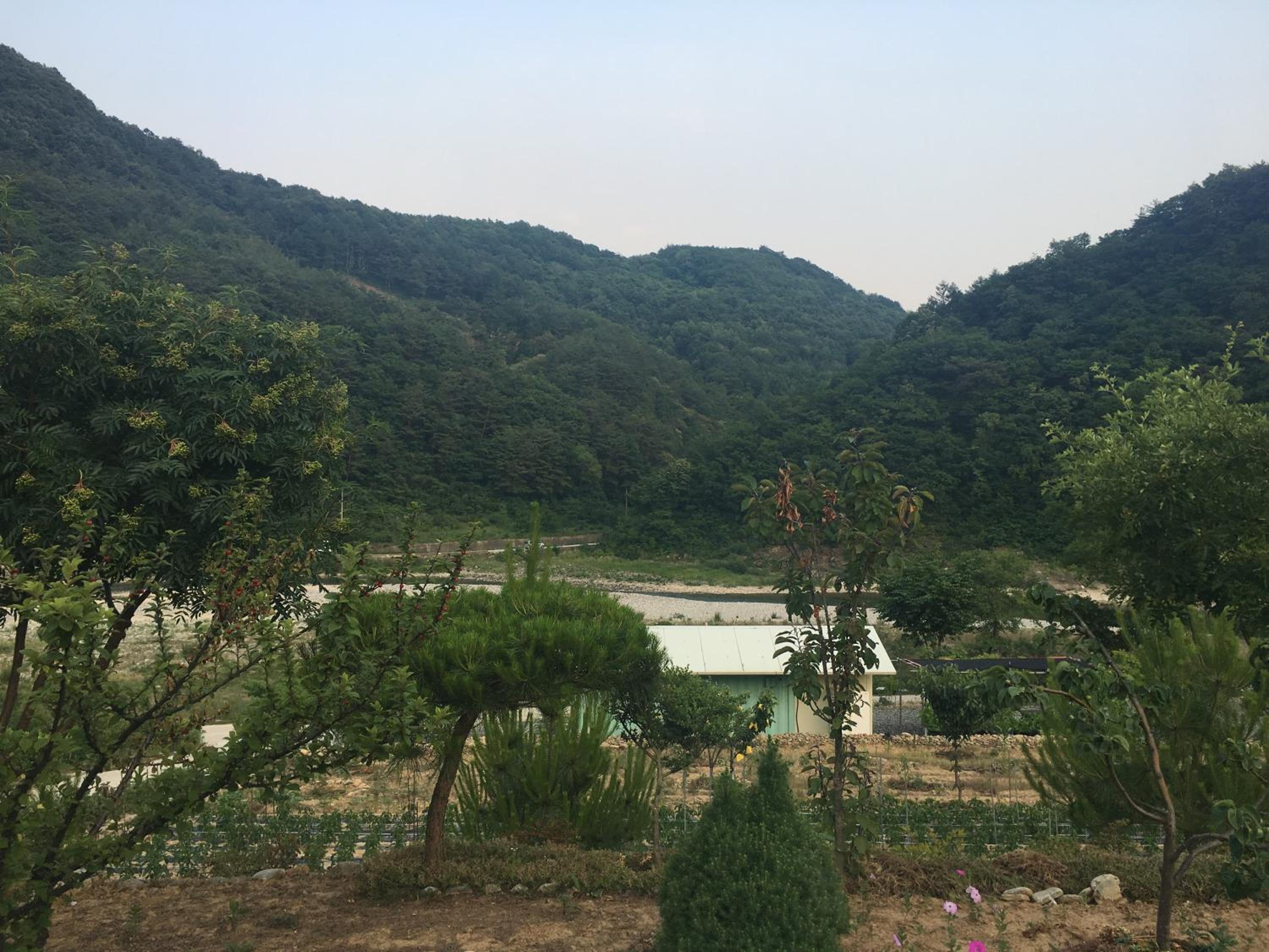 별 품은 강, fotografía 5