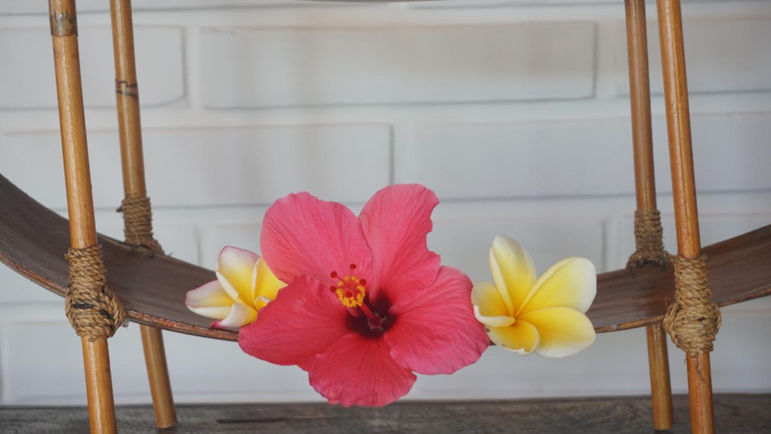 Puri Cantik