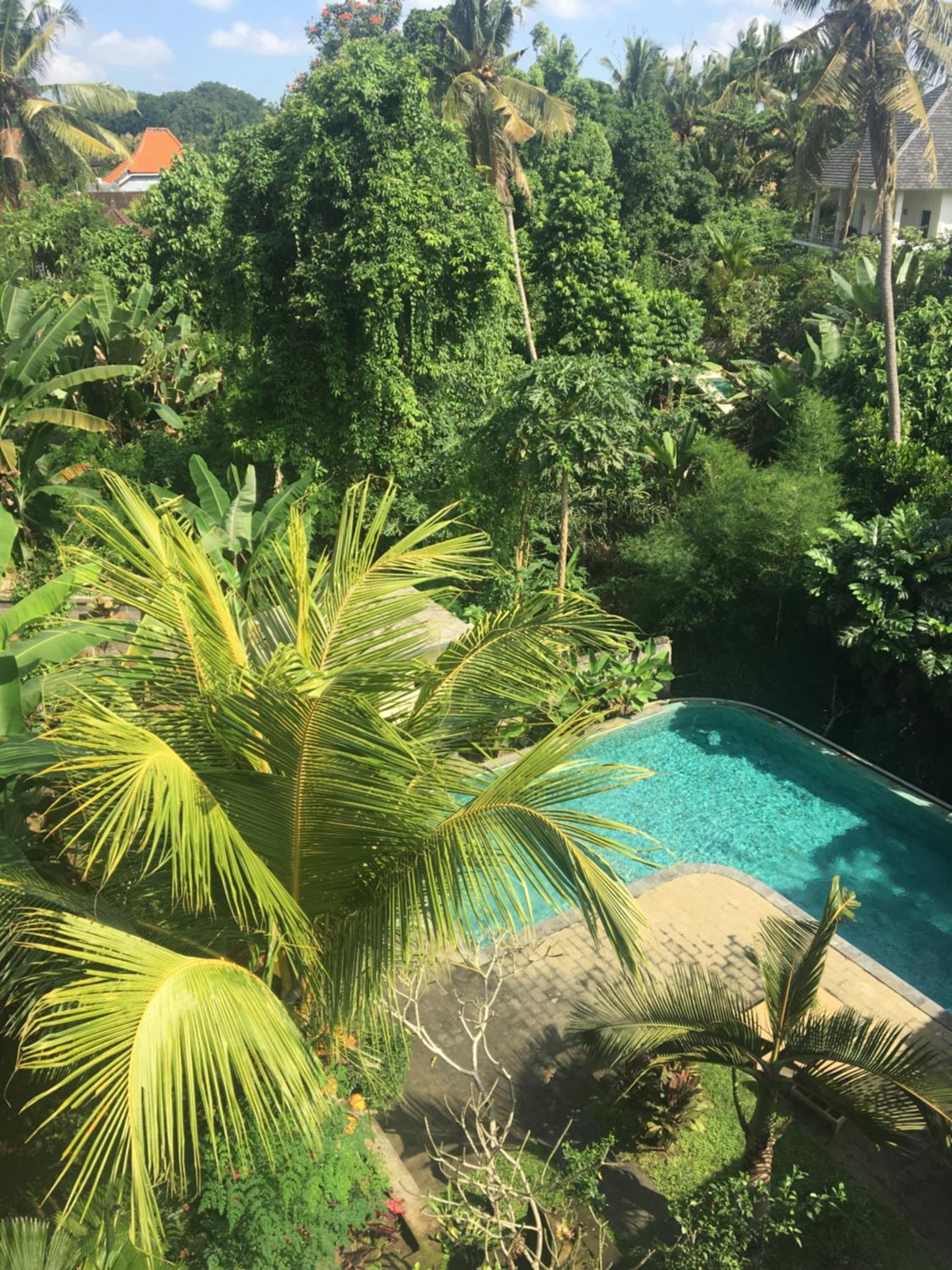 Raka Rai Bungalows view 2