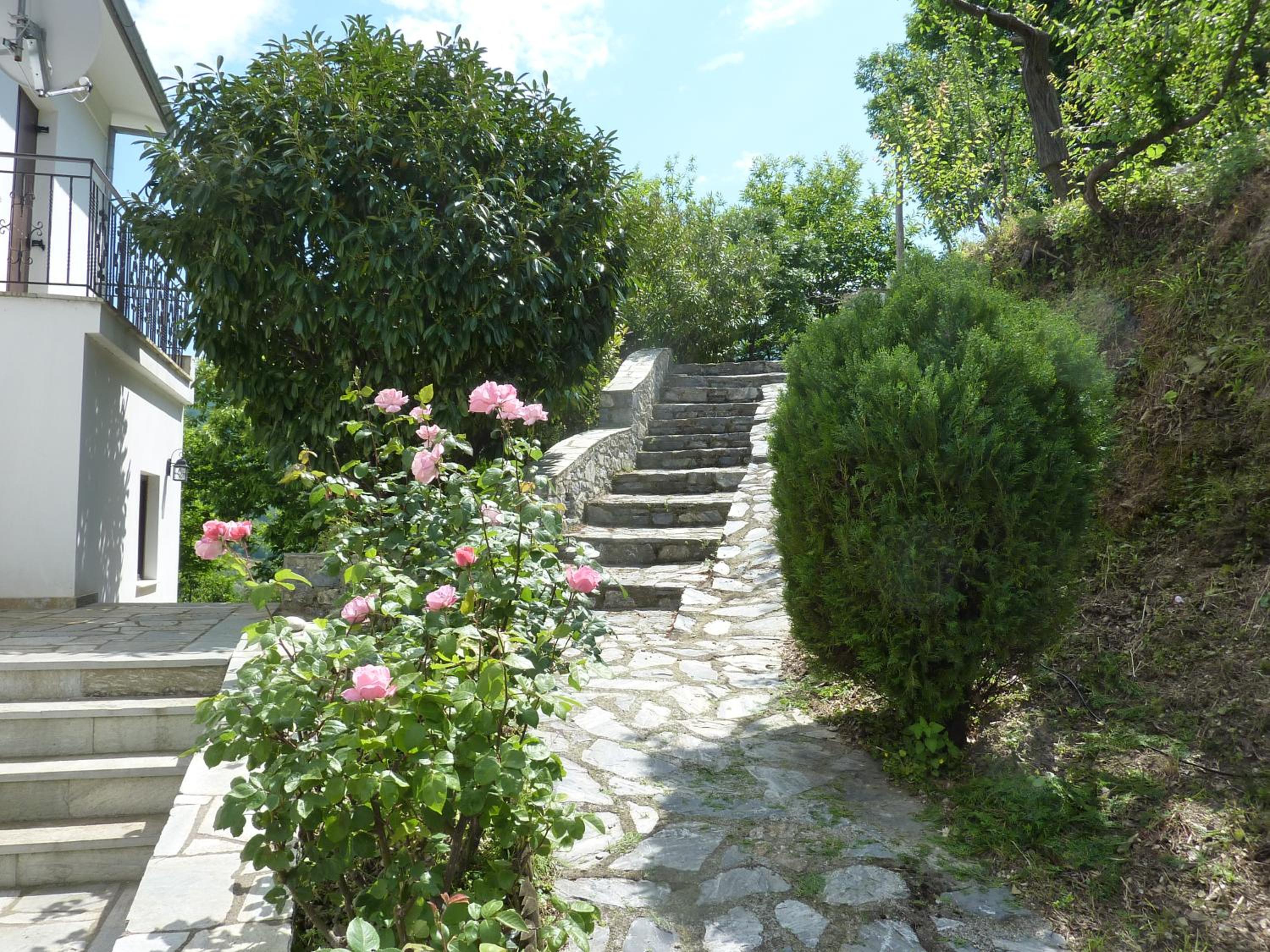 Photo 33