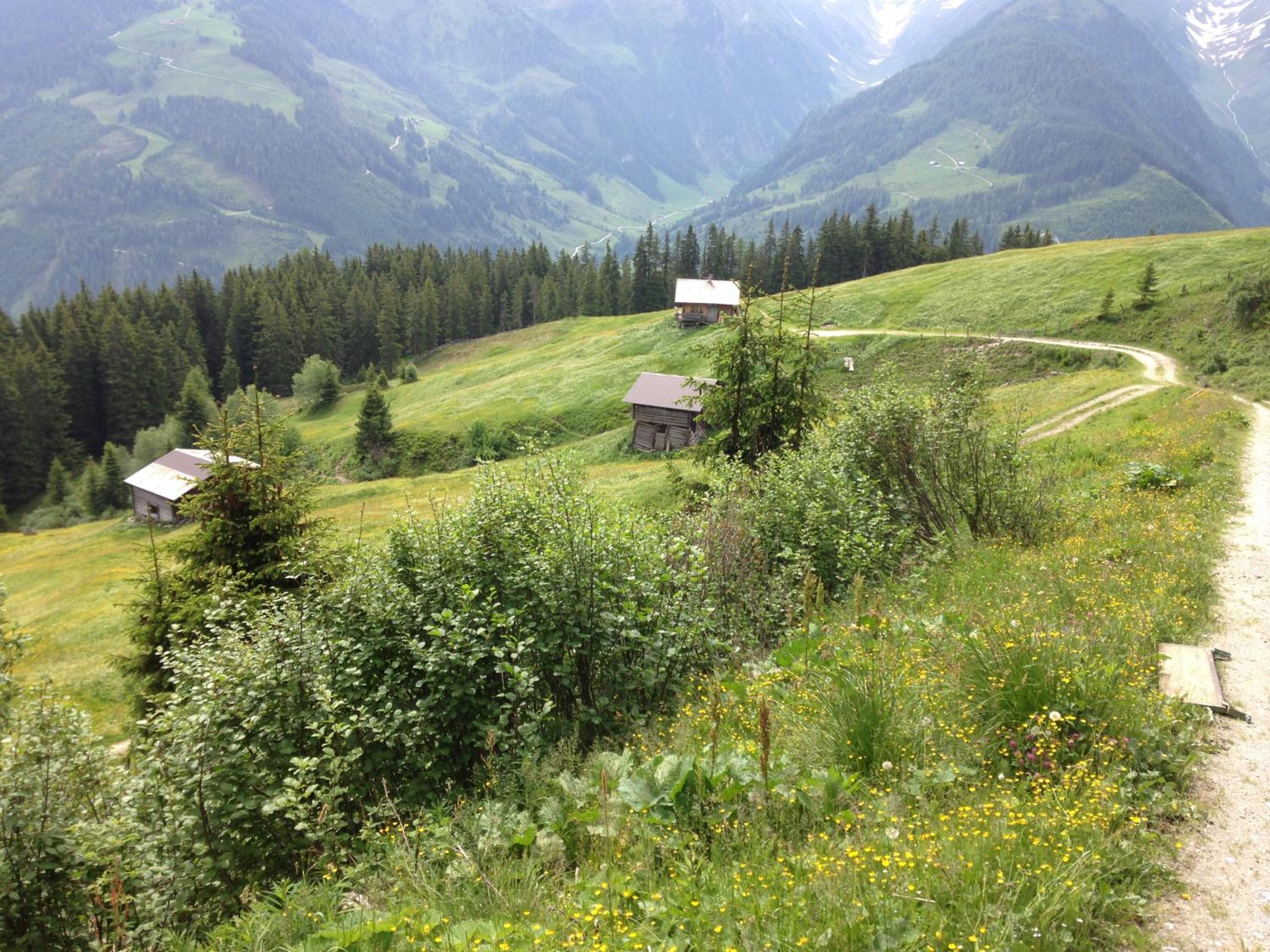 Gmünderklause