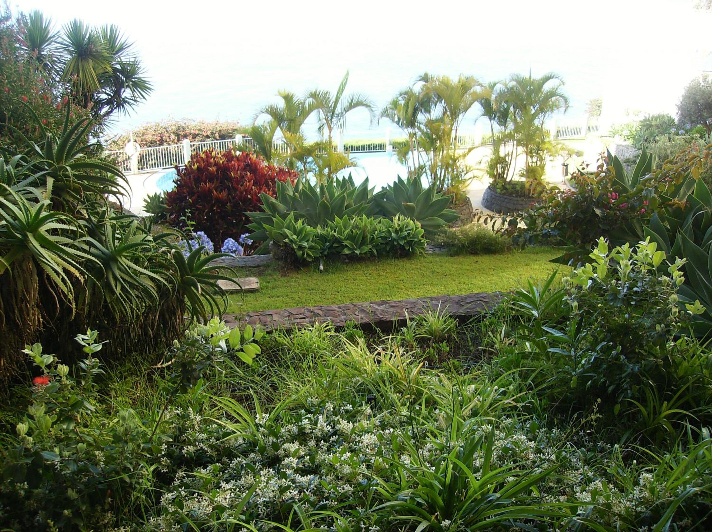 Oceanfront Apartment view 4