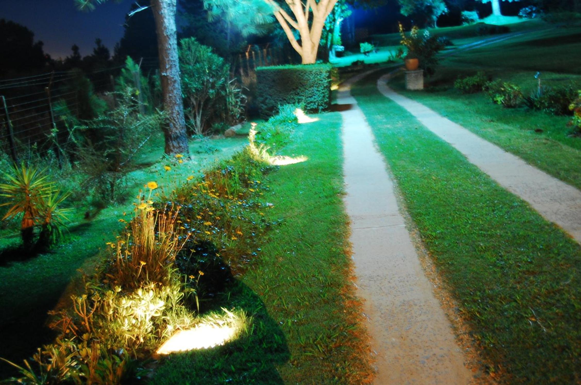 Photo 9