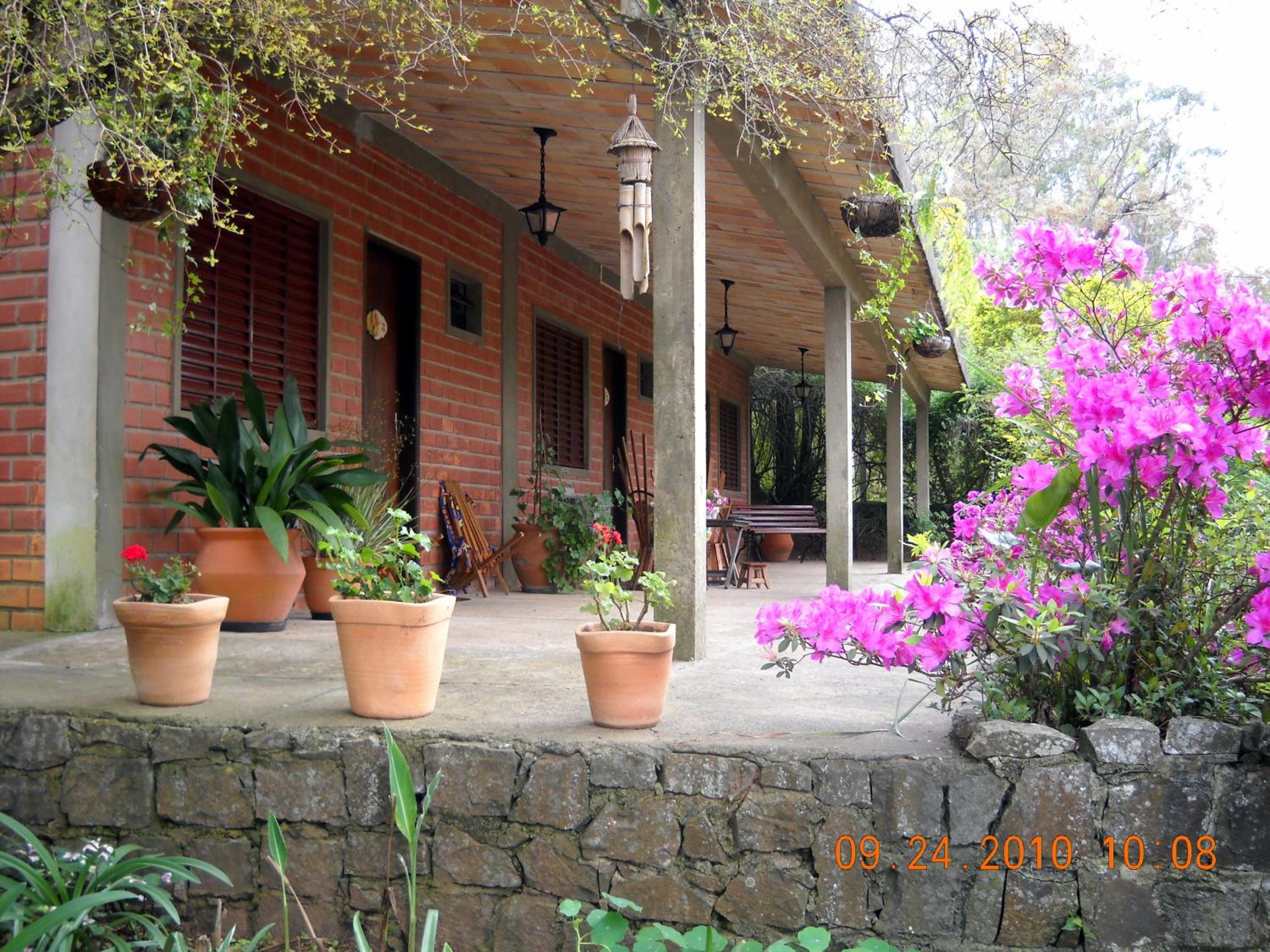 Posada del Bosque view 2