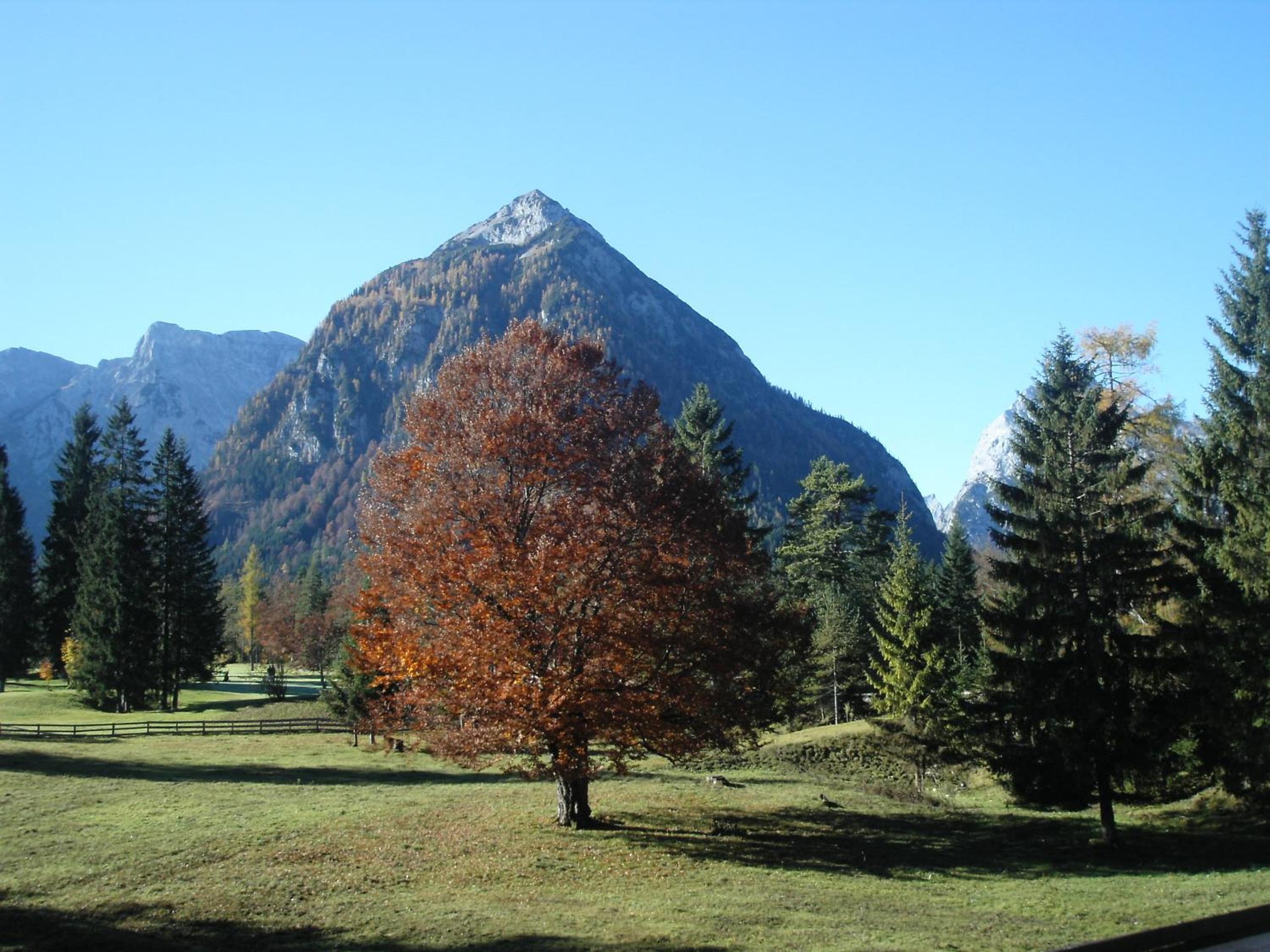Bergheim
