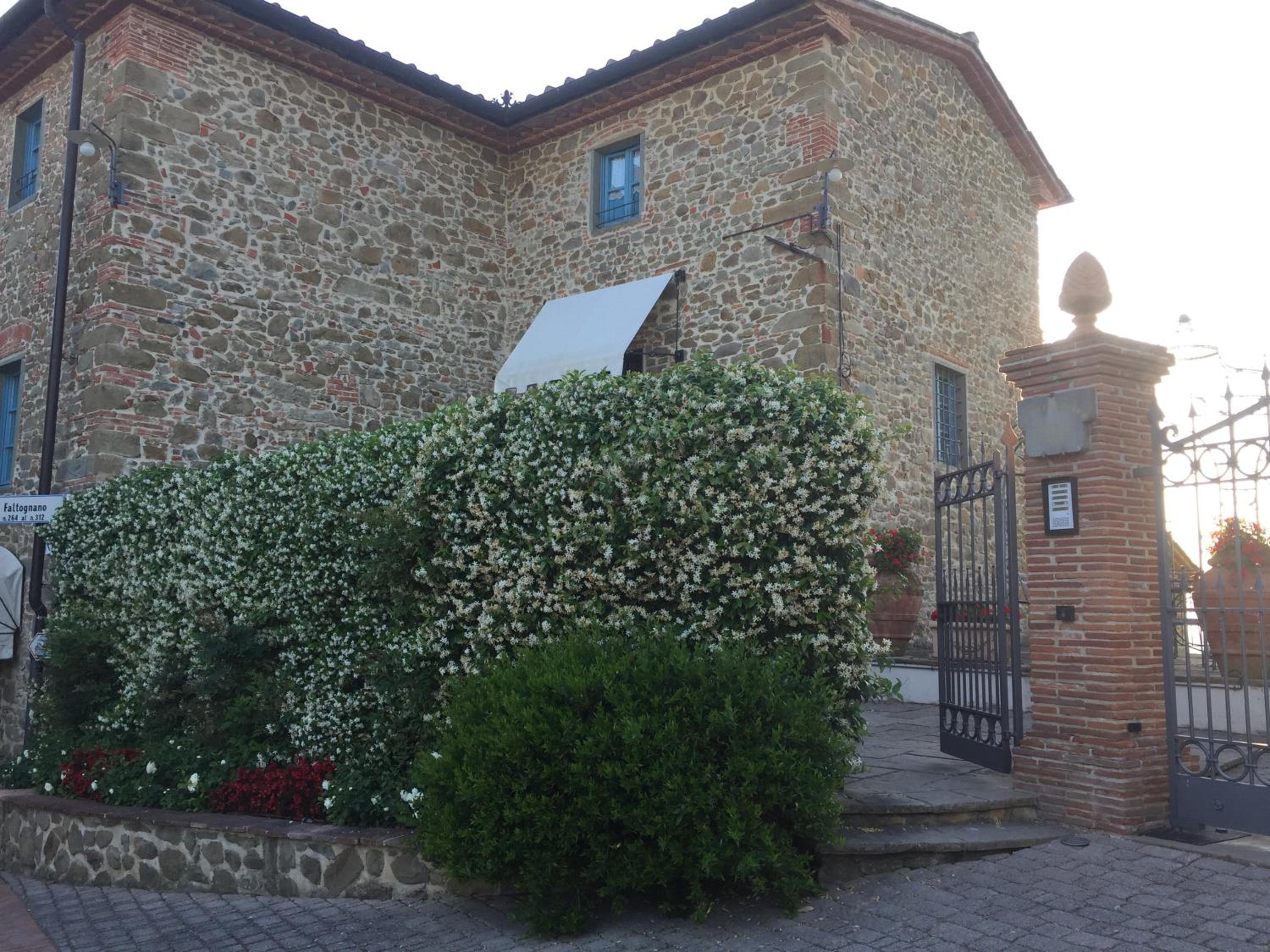 Photo 34