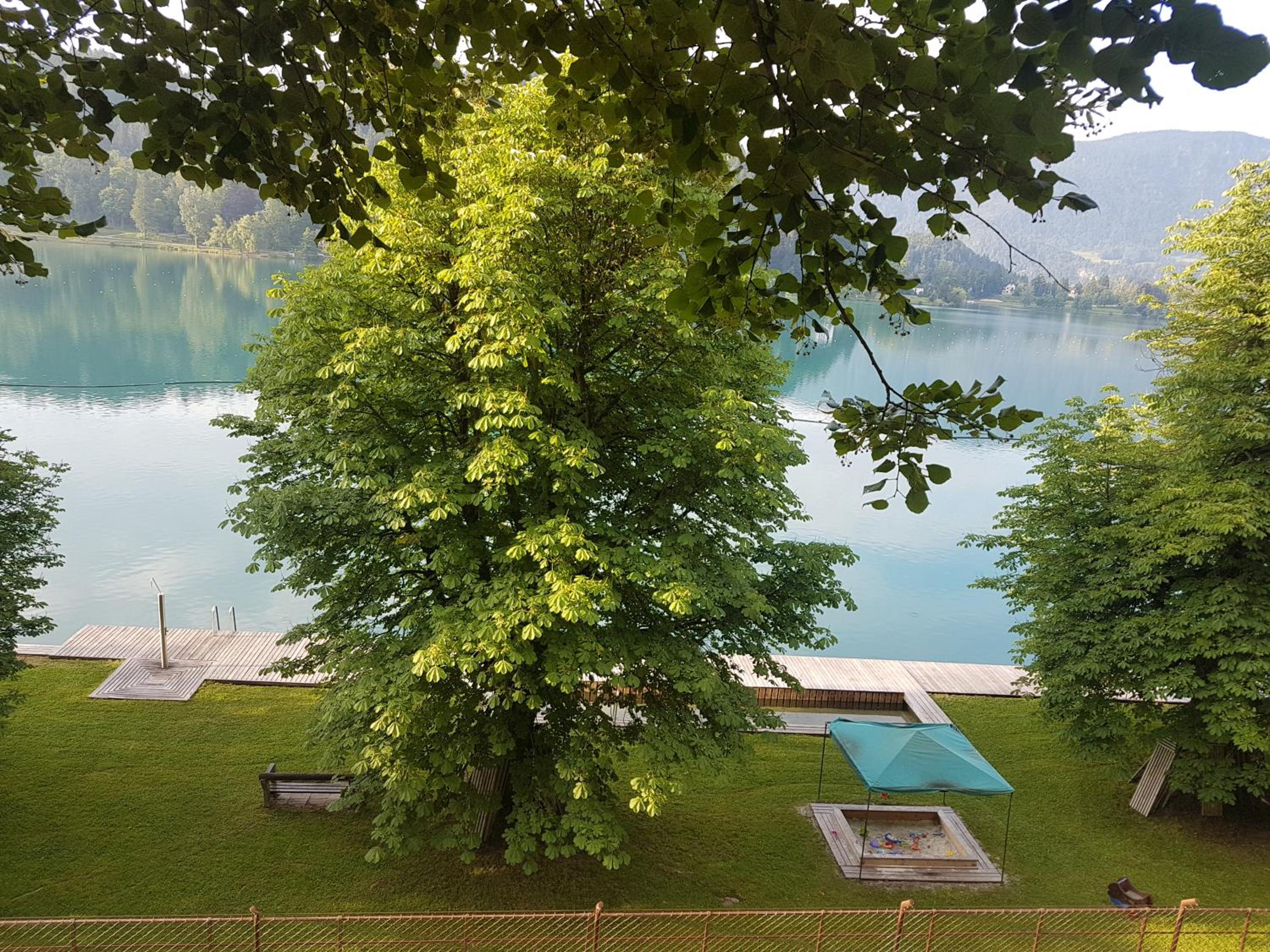 Apartmaji Mežan — photo 108