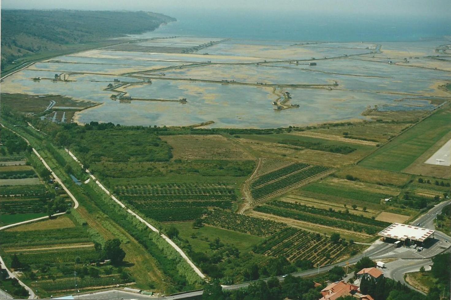 Apartmaji in Vinogradništvo Klobas view 5