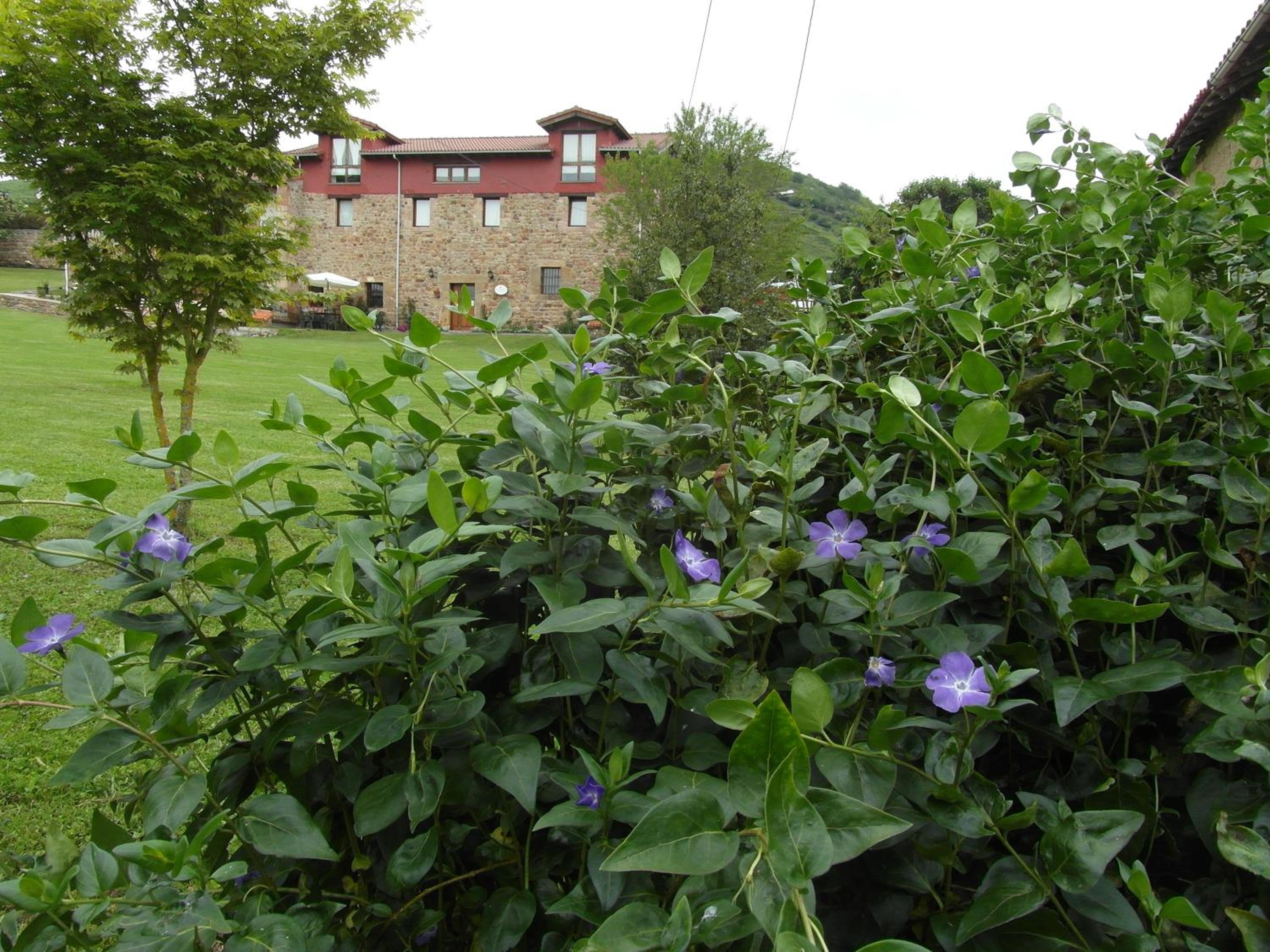 Photo 63