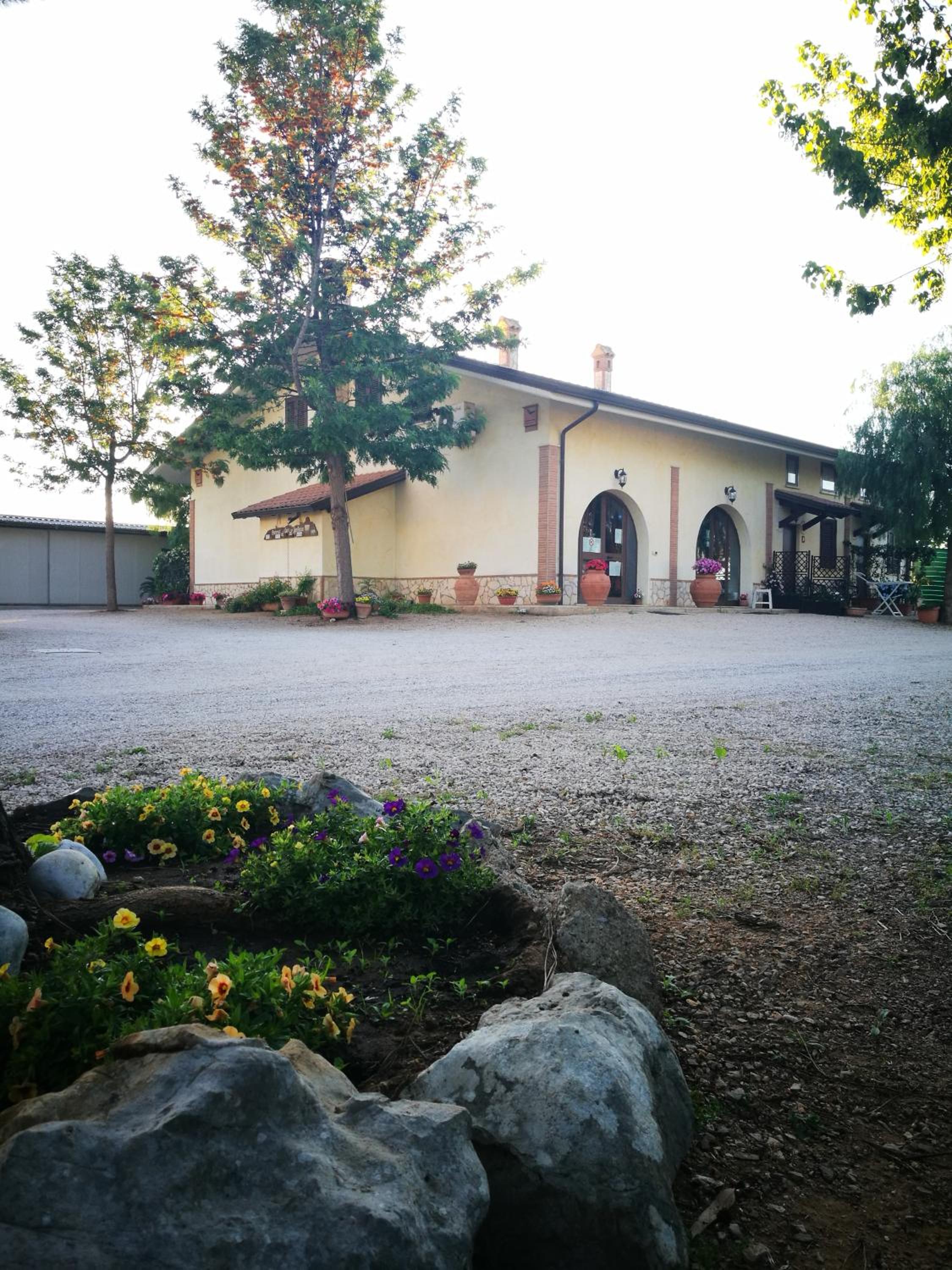 Photo 31