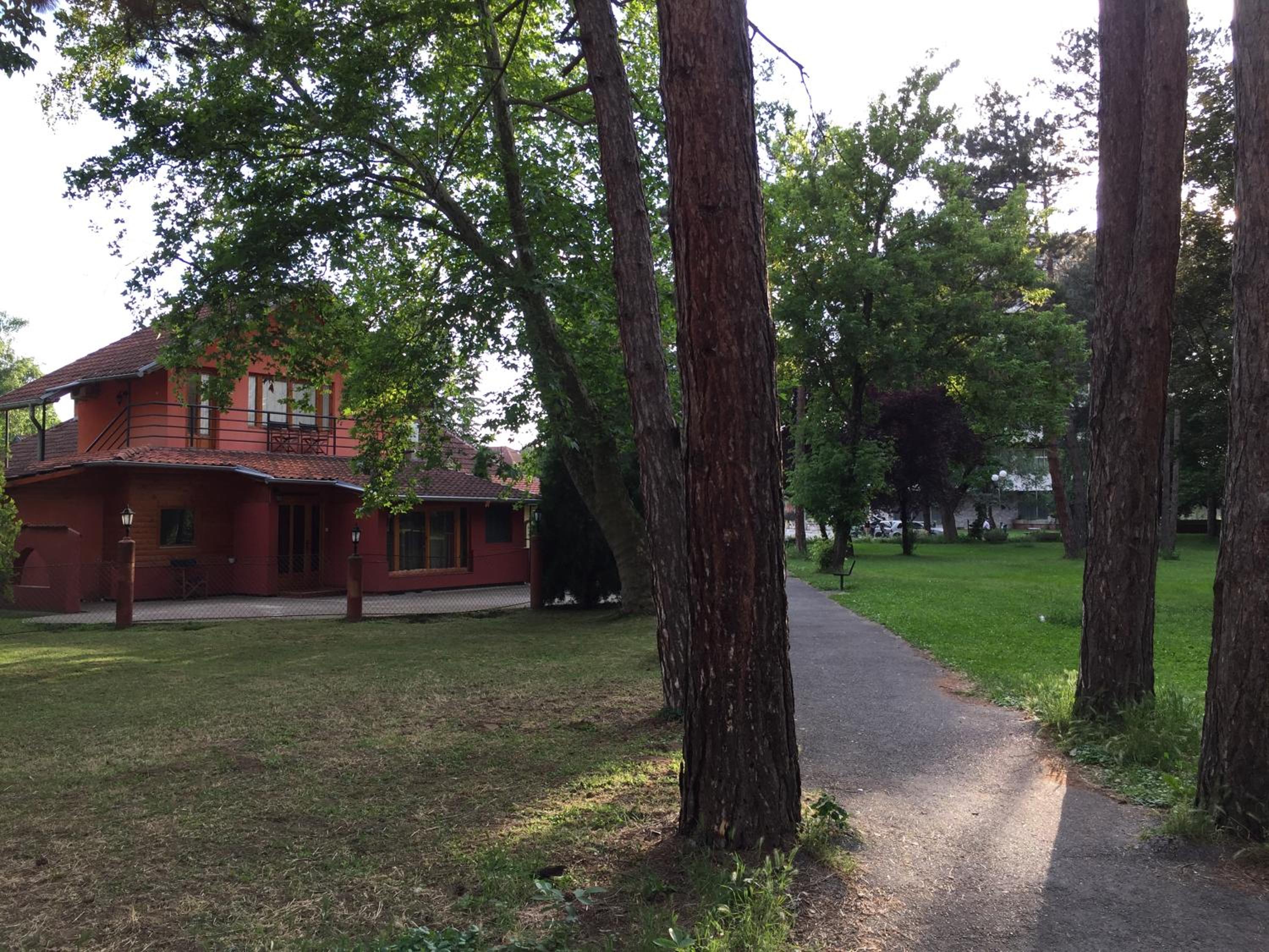 Photo 9