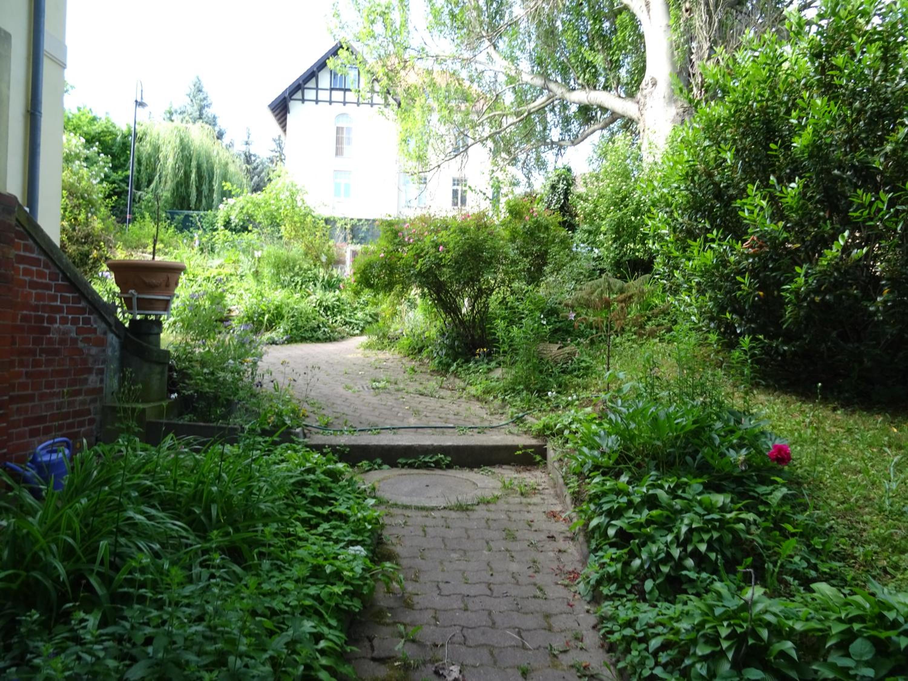 Photo 14