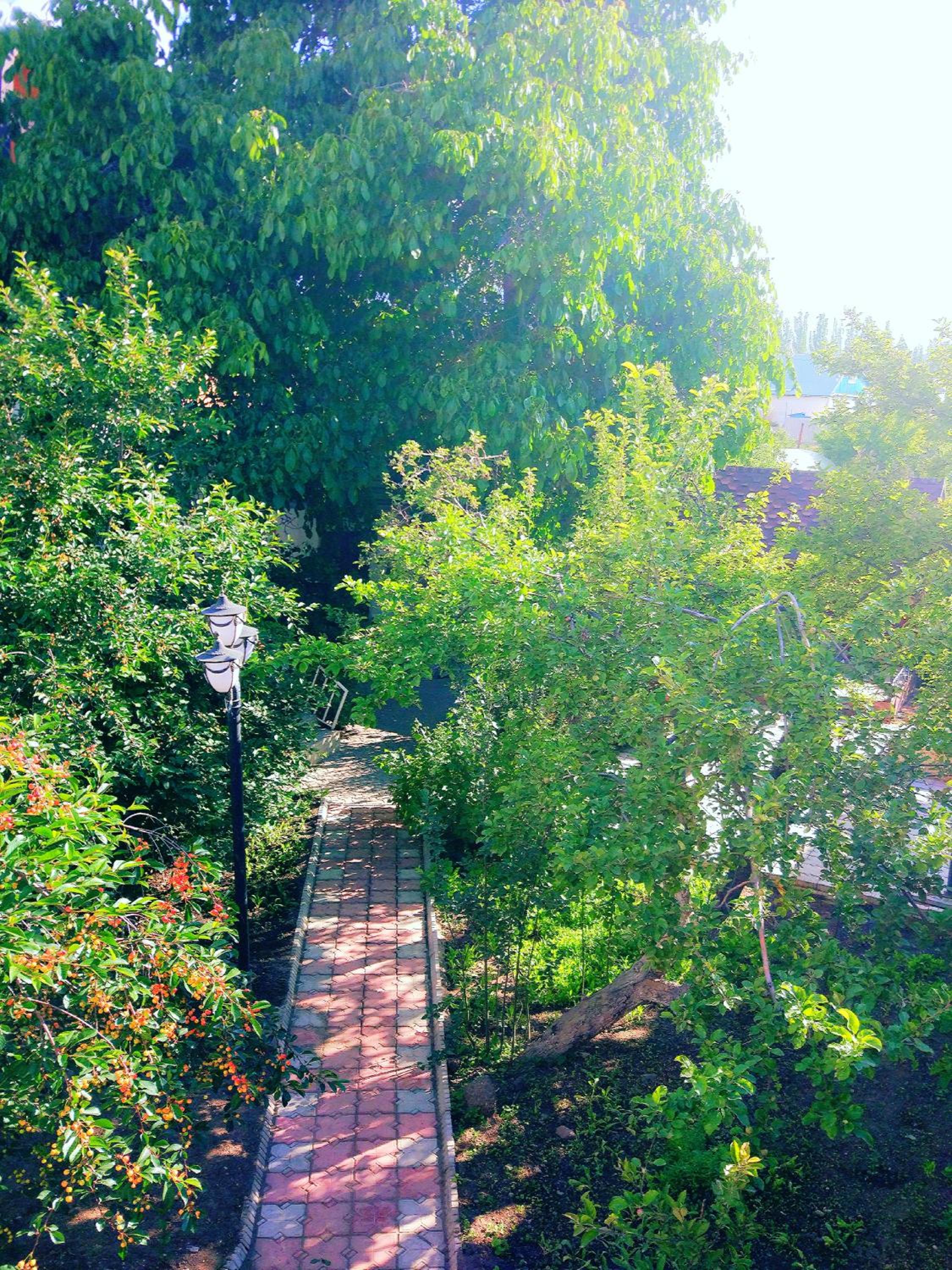 Guest House Albatros