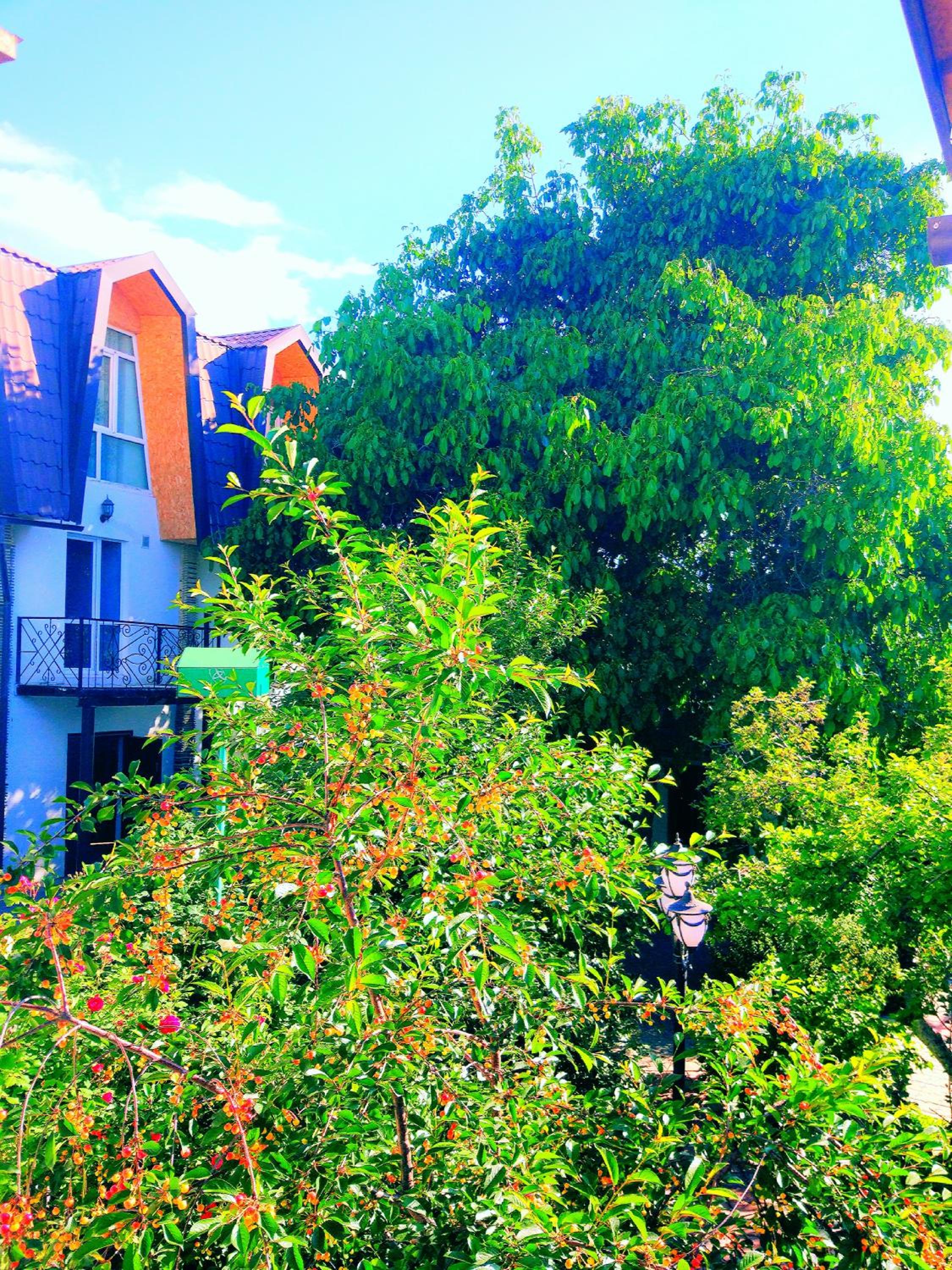 Guest House Albatros