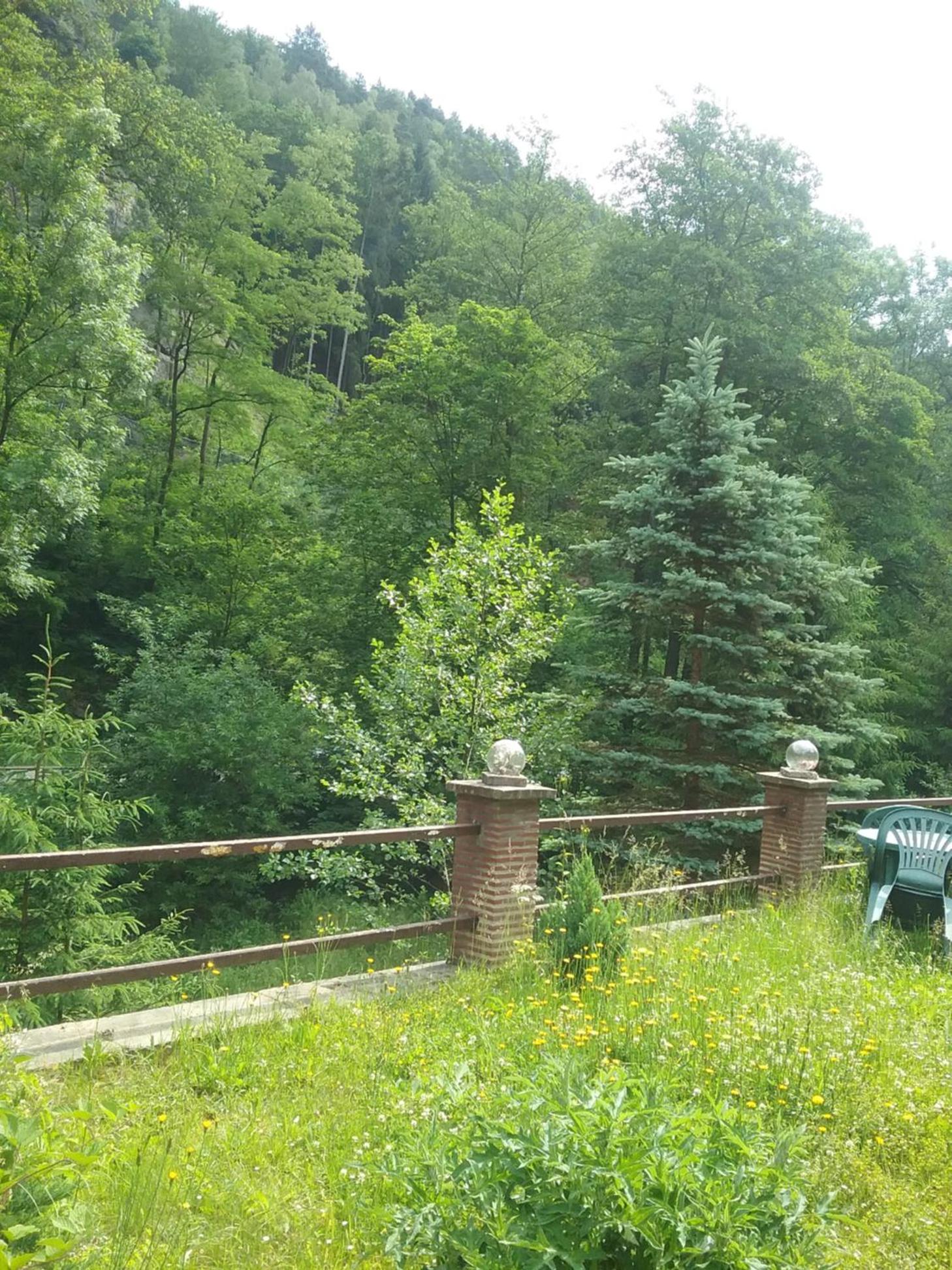 Elbenland Apartments & Bungalows