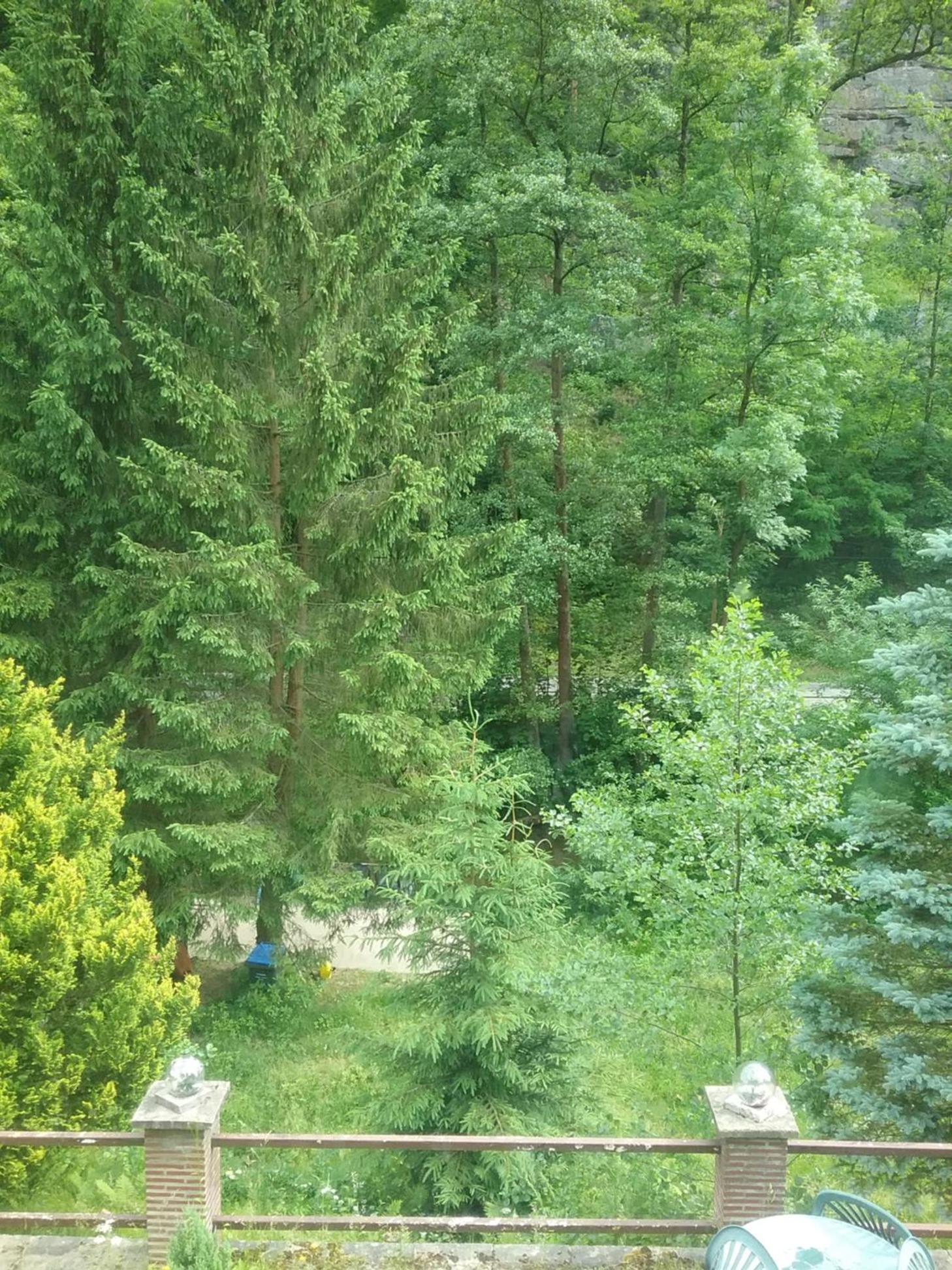 Elbenland Apartments & Bungalows