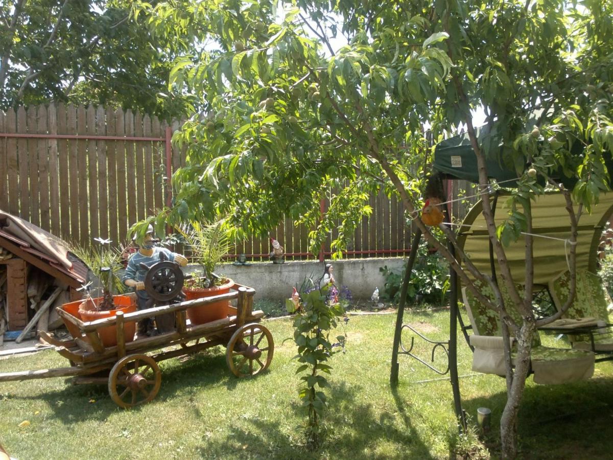 Photo 52