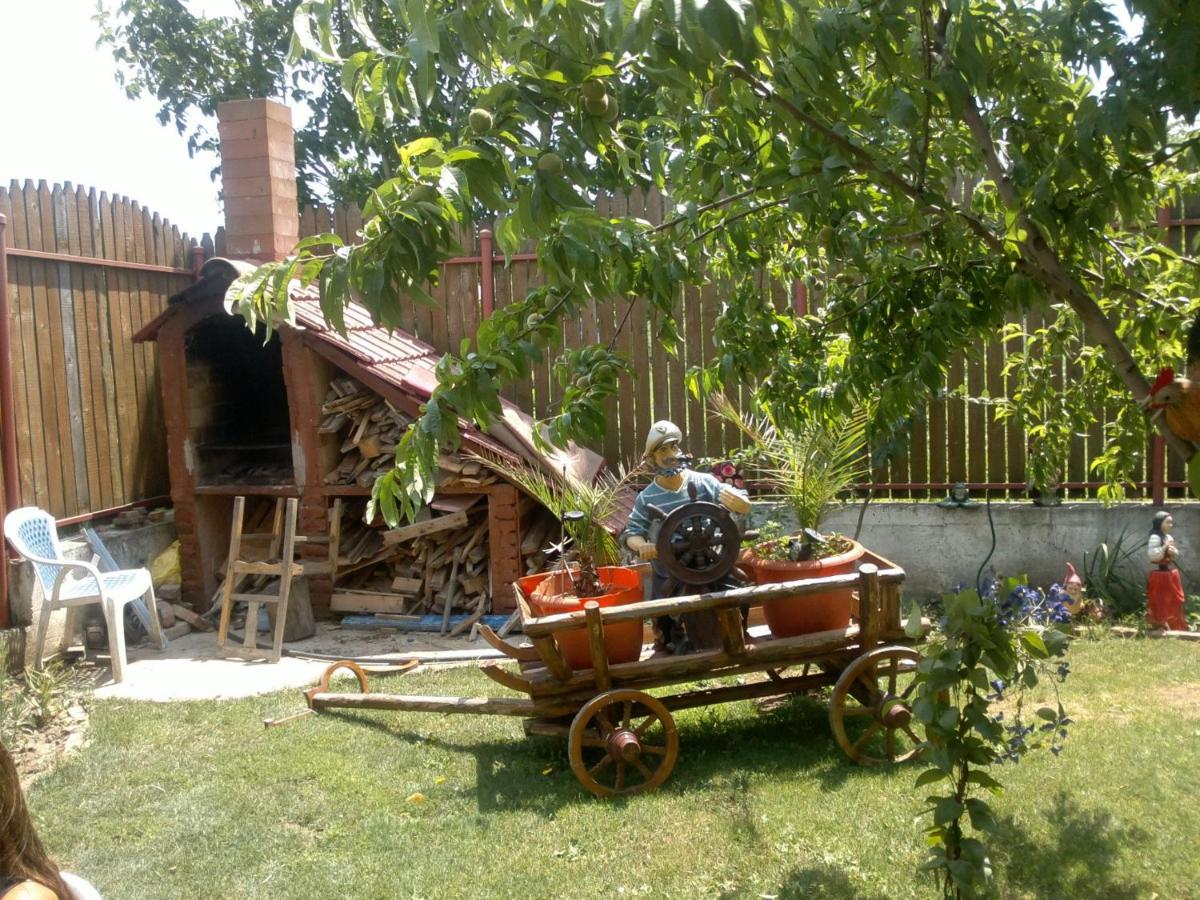 Photo 50